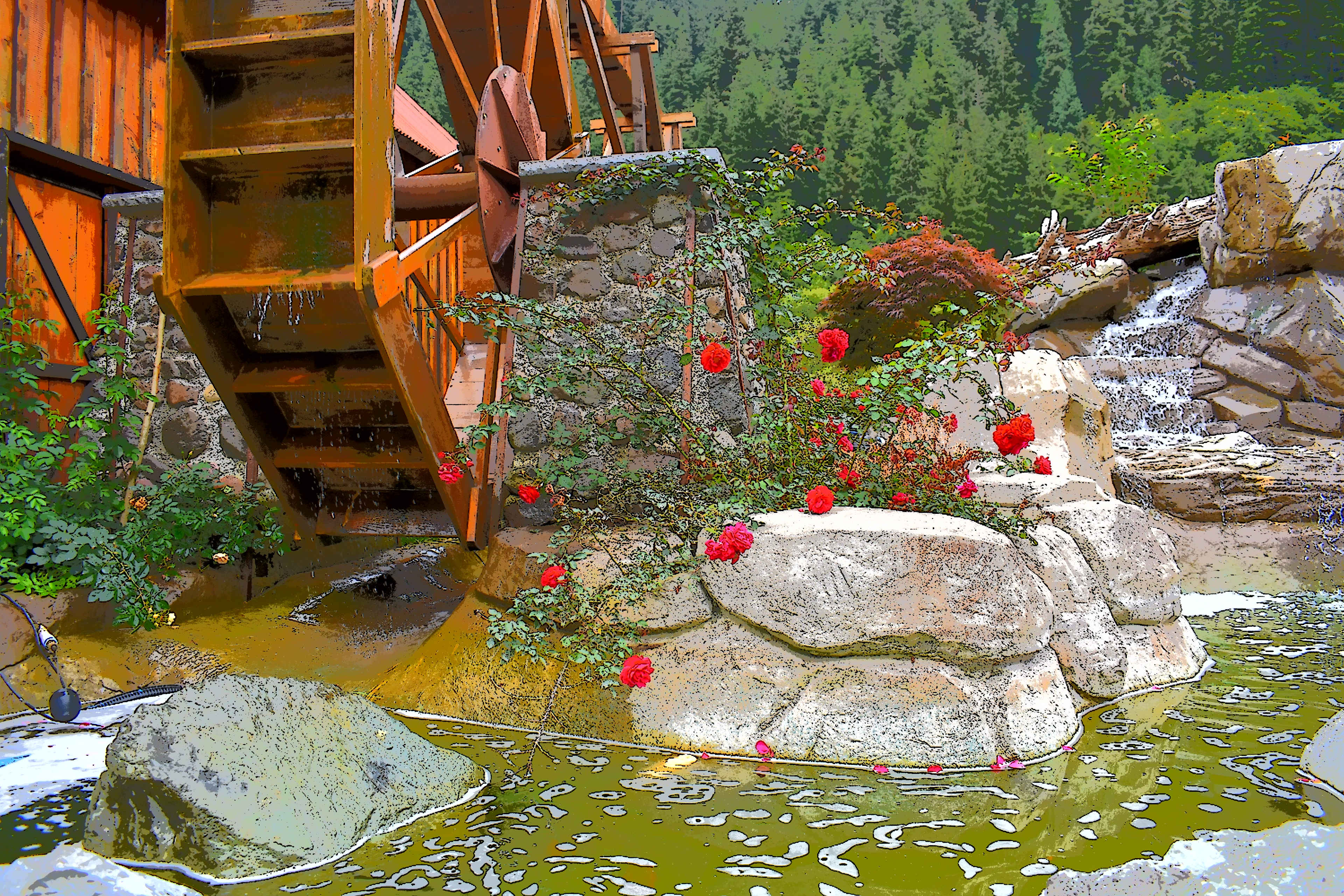 Picture of the site