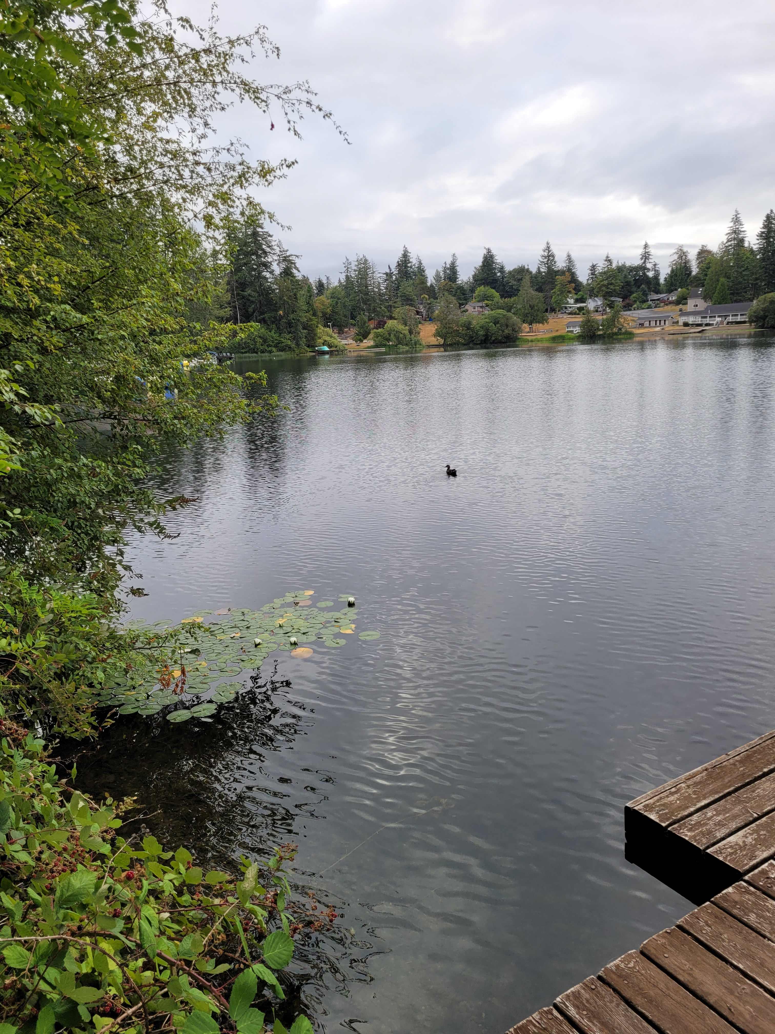 Pipe Lake Cabin