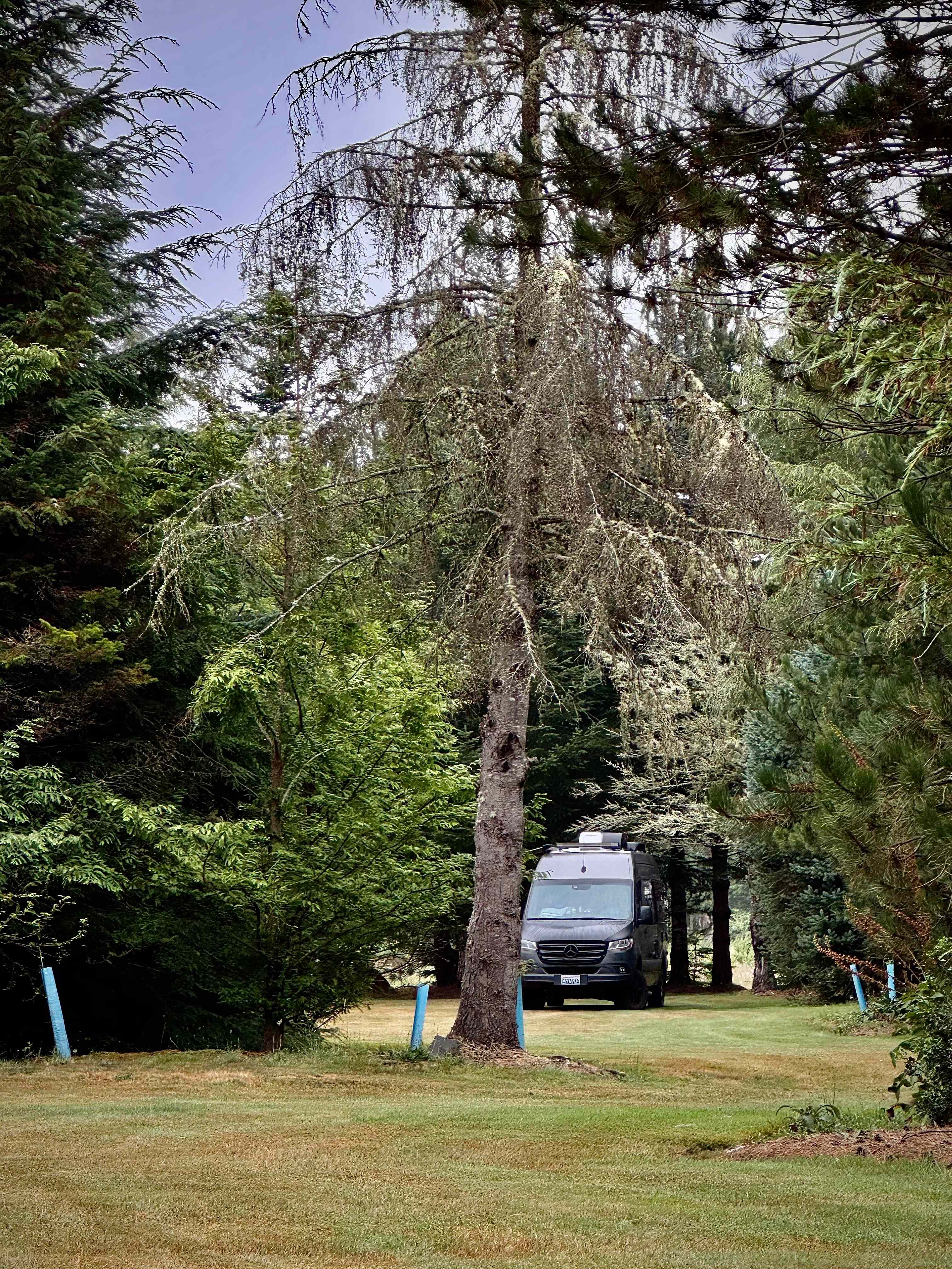 The Arboretum at Bear Canyon West