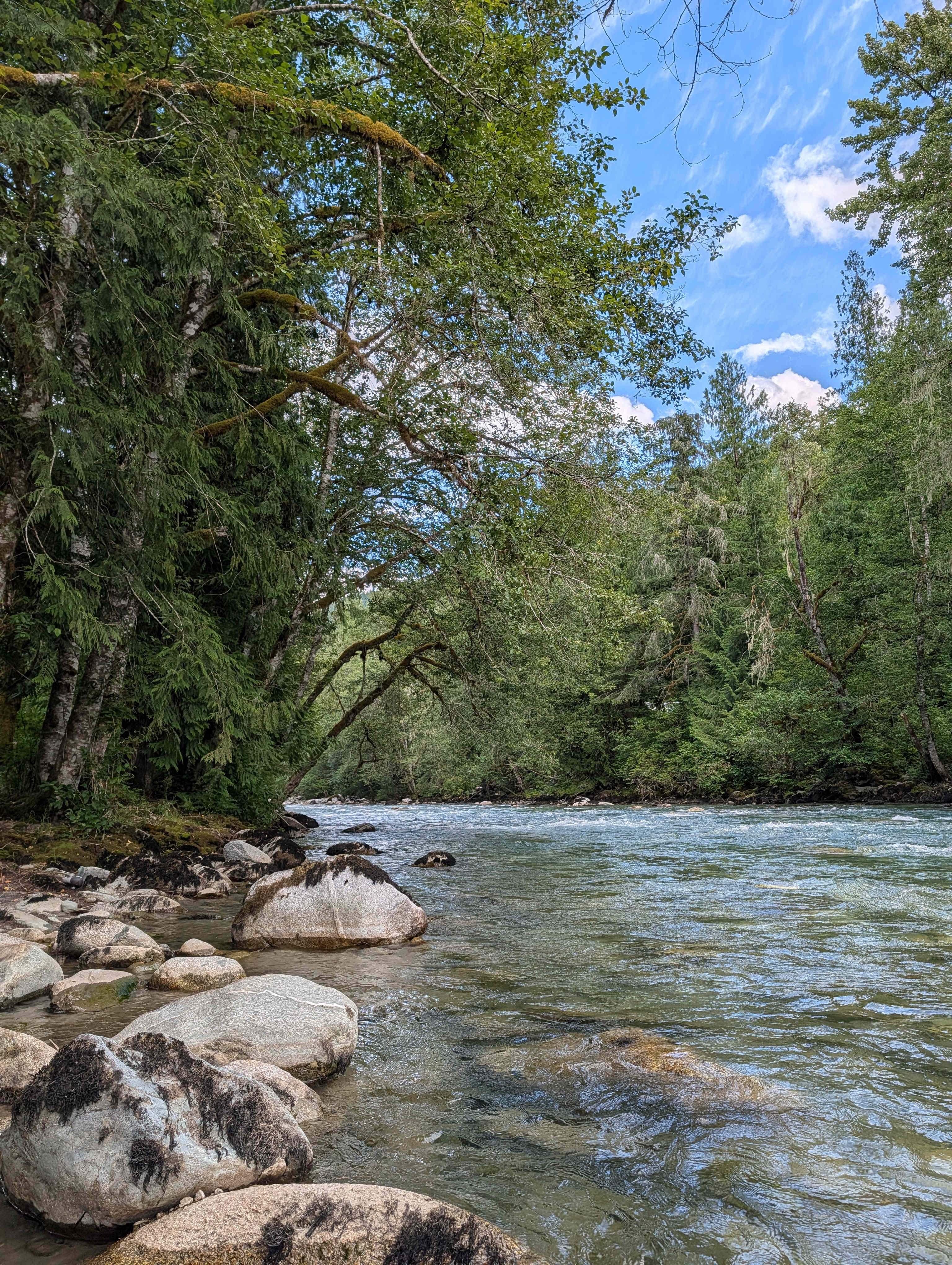 Hidden Gem Base Camp-Marblemount WA