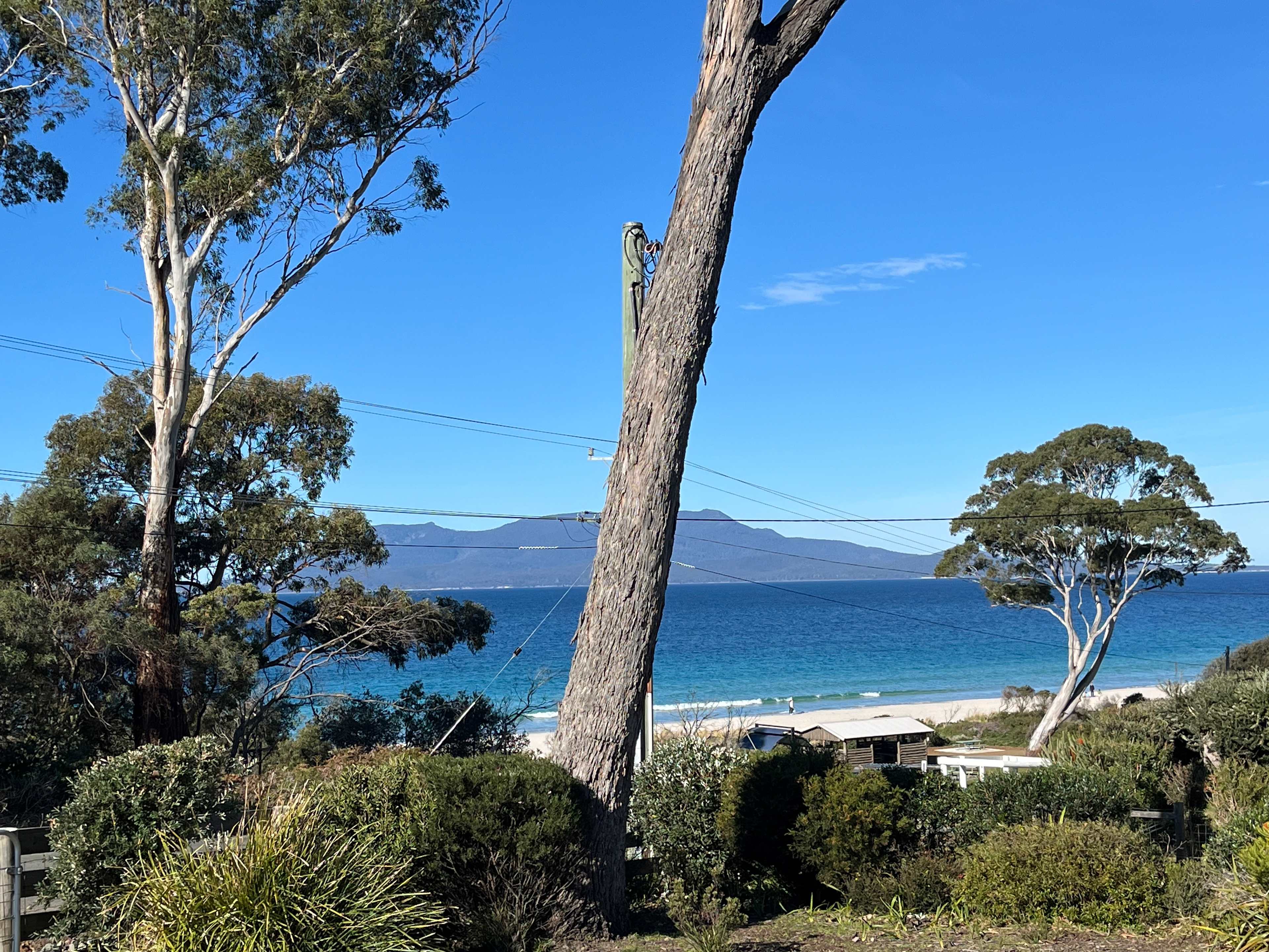 Spring Beach 