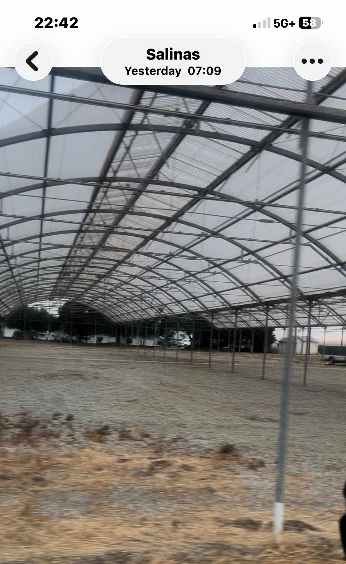 Toyo Farm