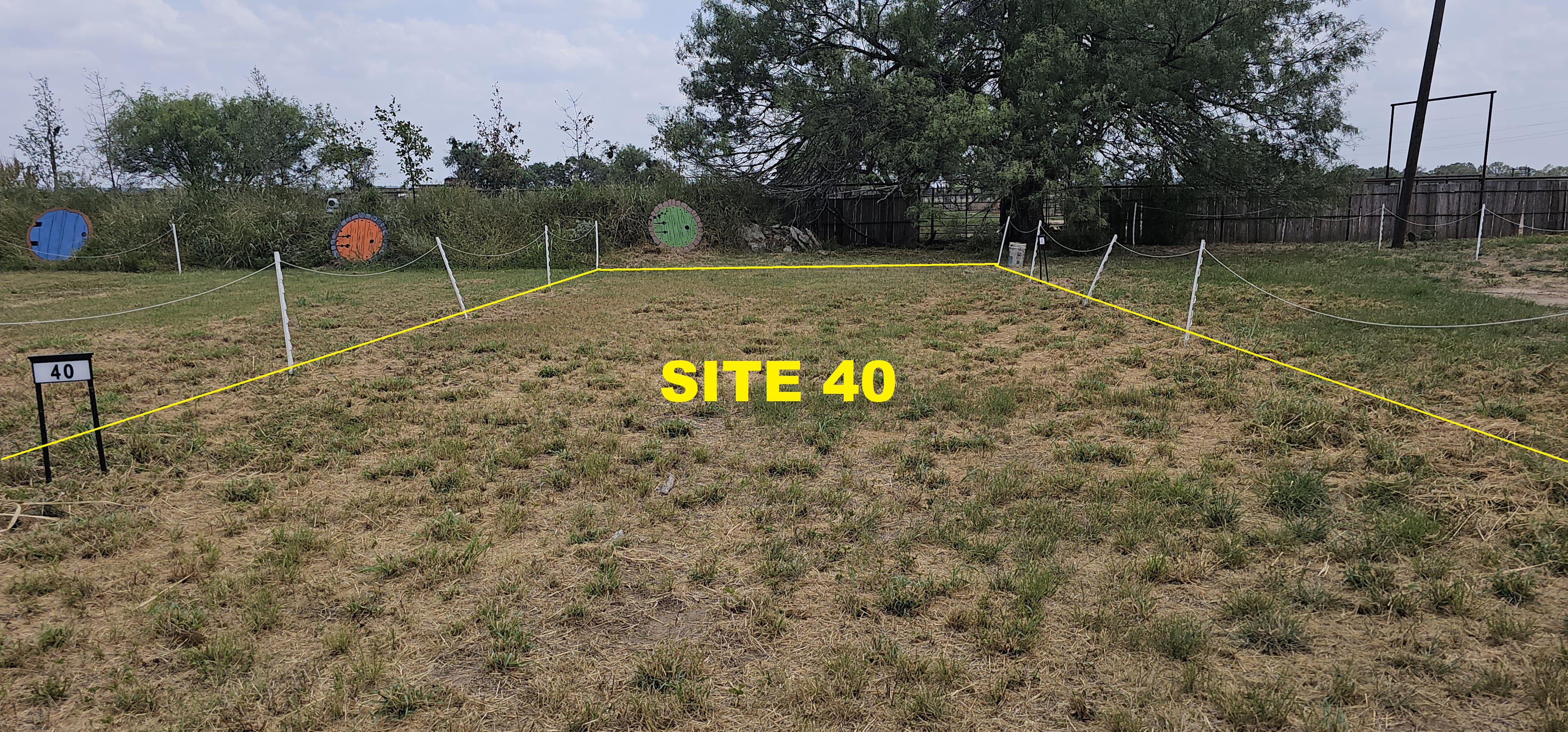 Picture of the site