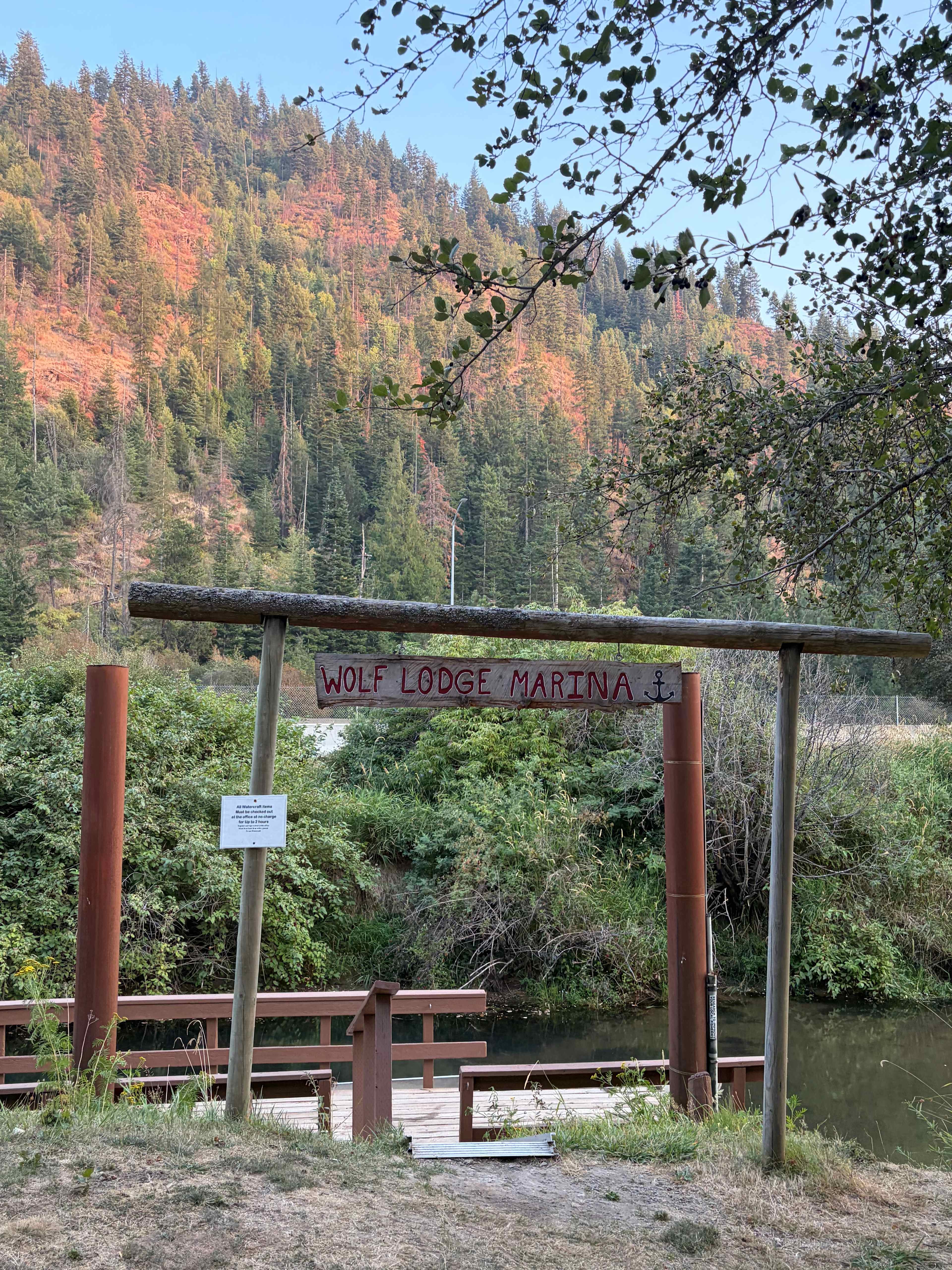 Picture of the site