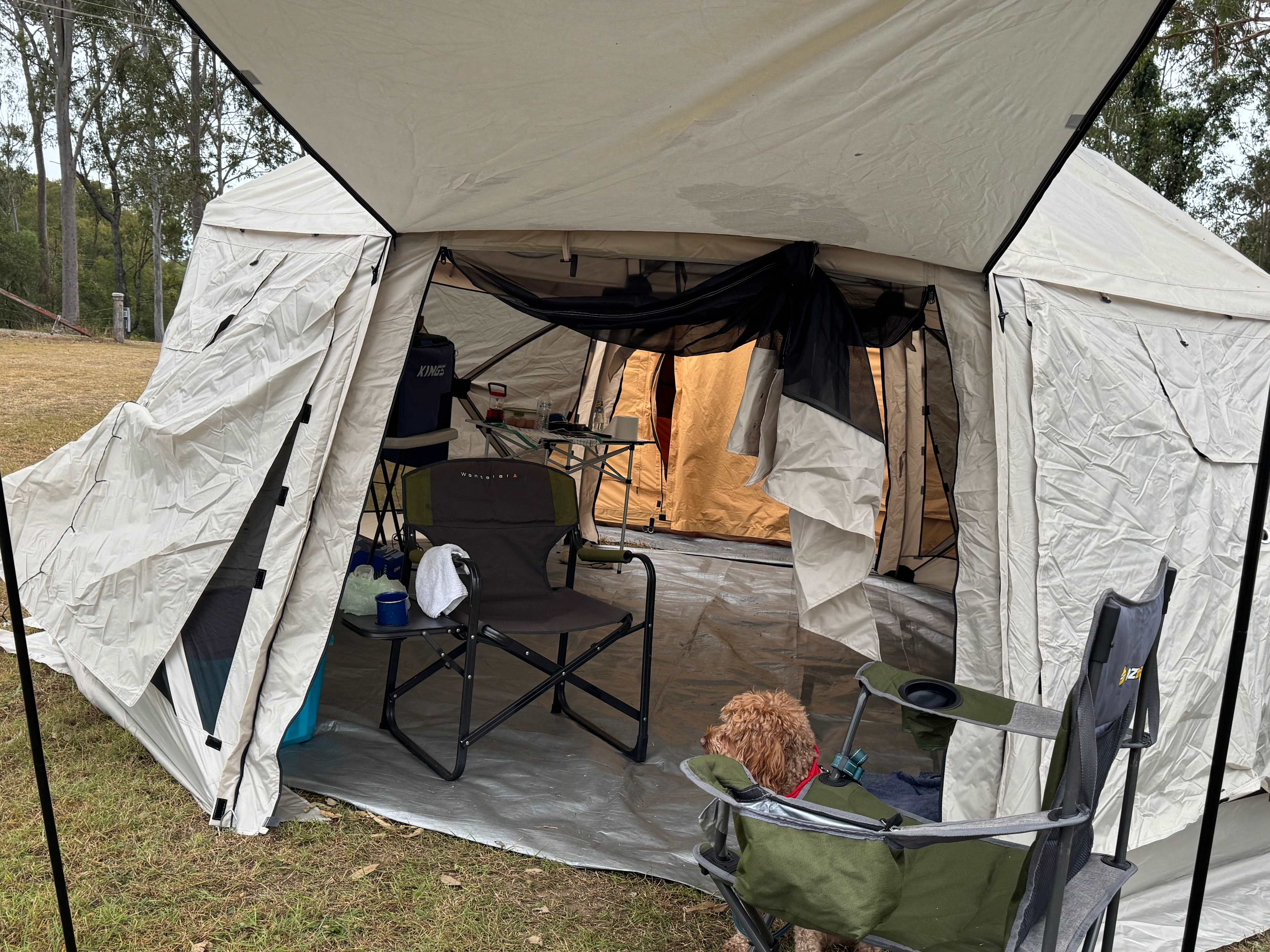 The Paddock in Tamborine
