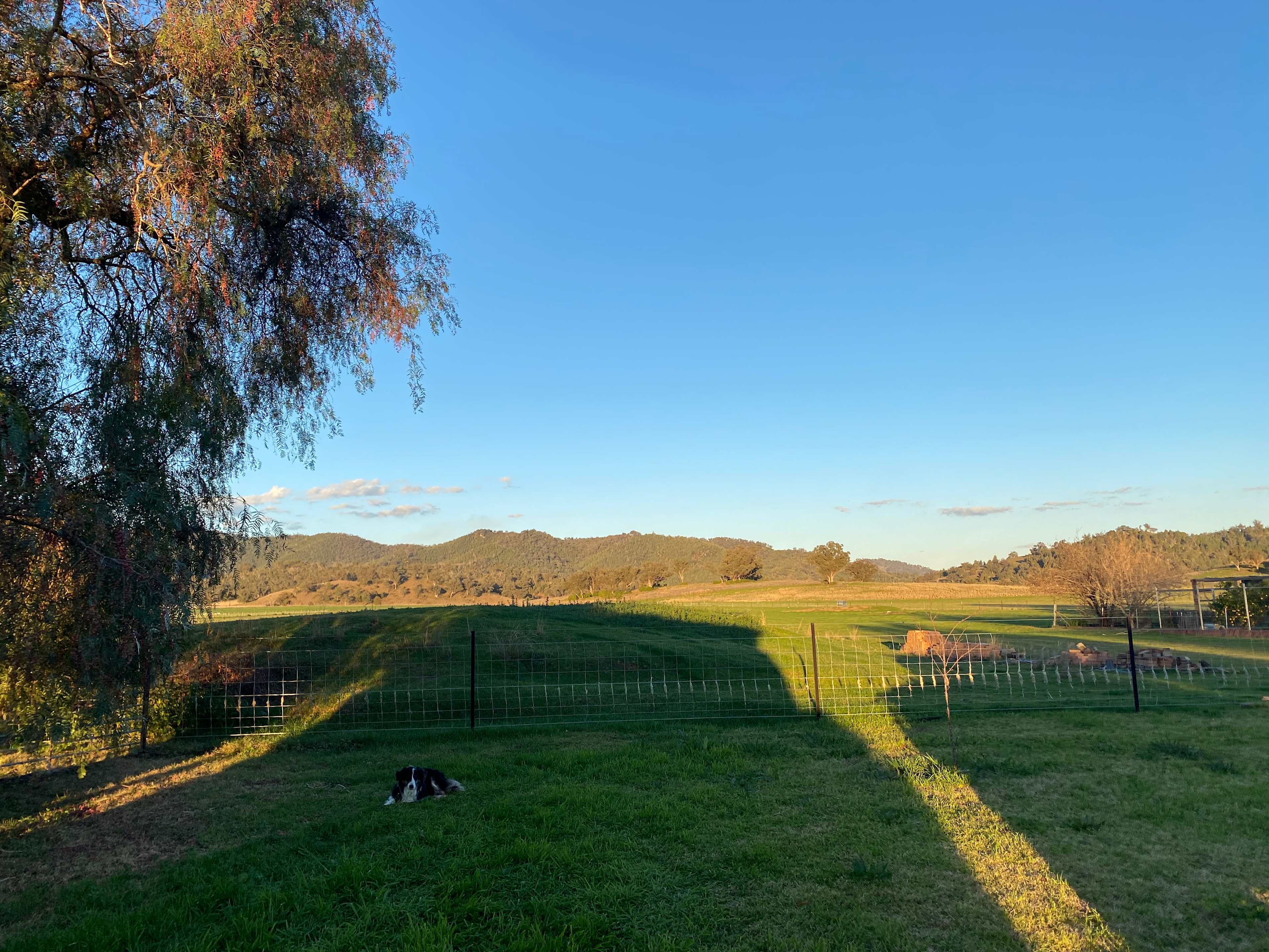 Afternoon views
