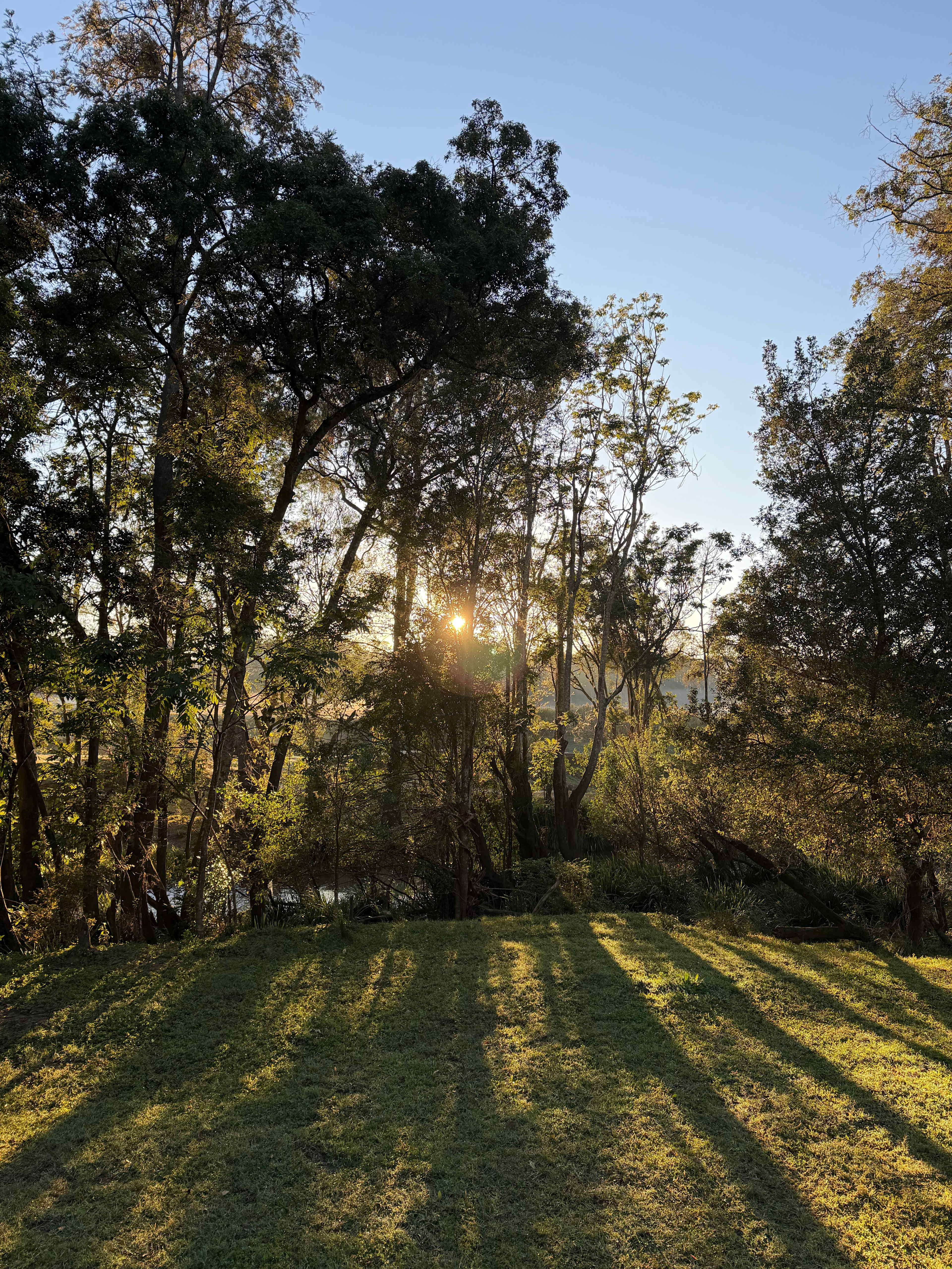 Koala Creek Camping