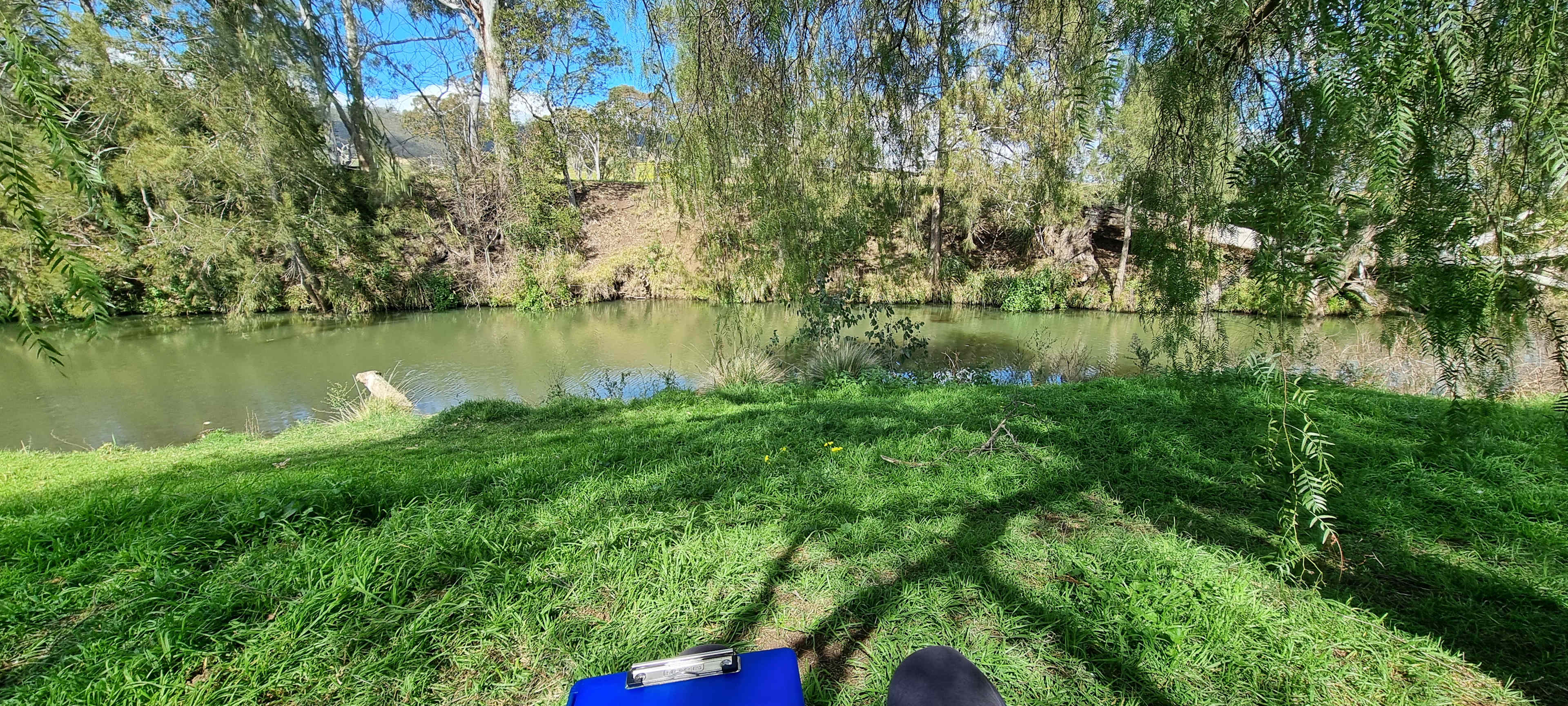 Shady spot by the creek