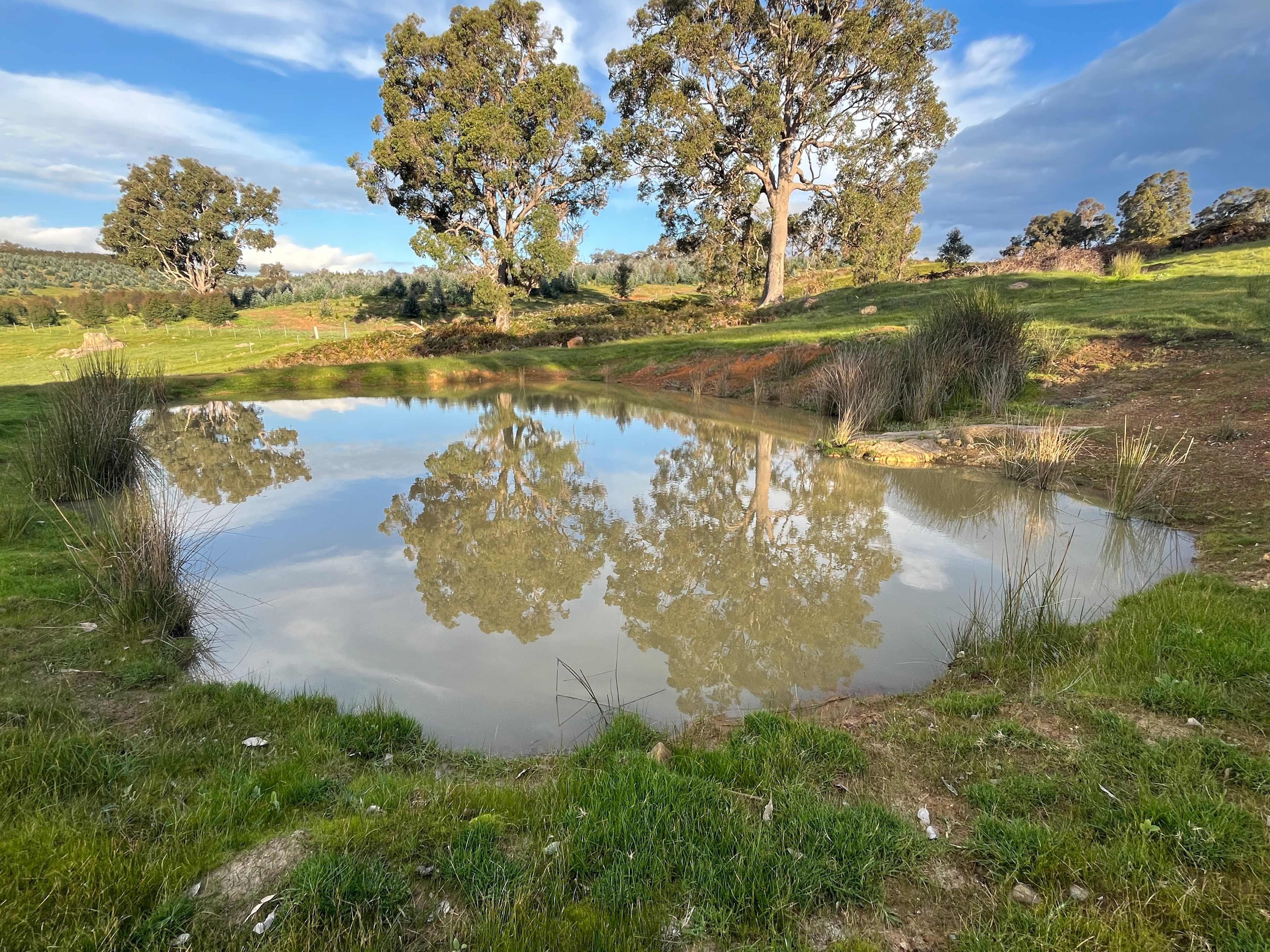 Blackwood Ridge Nature Park