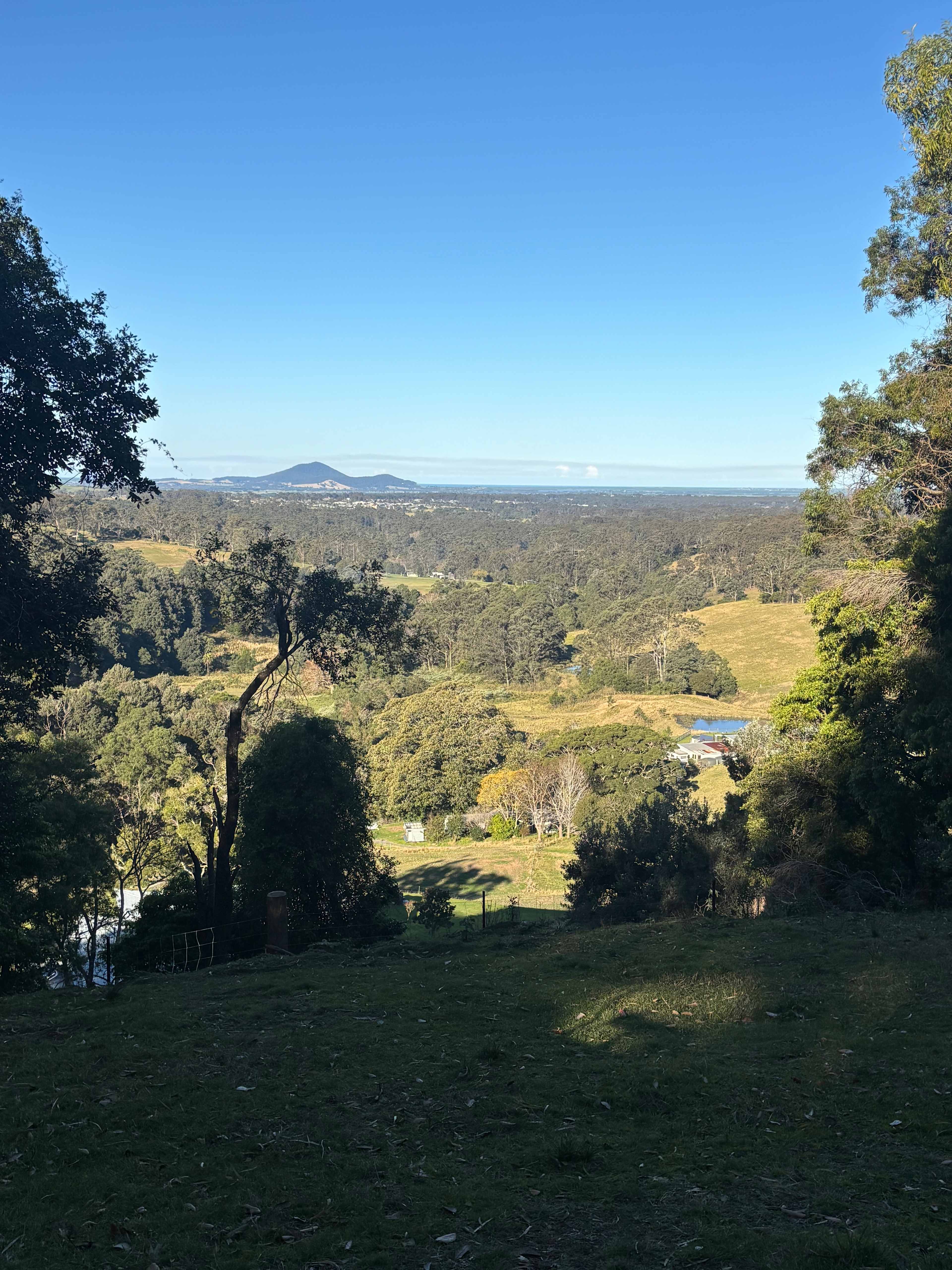 Young Macdonald’s Farm