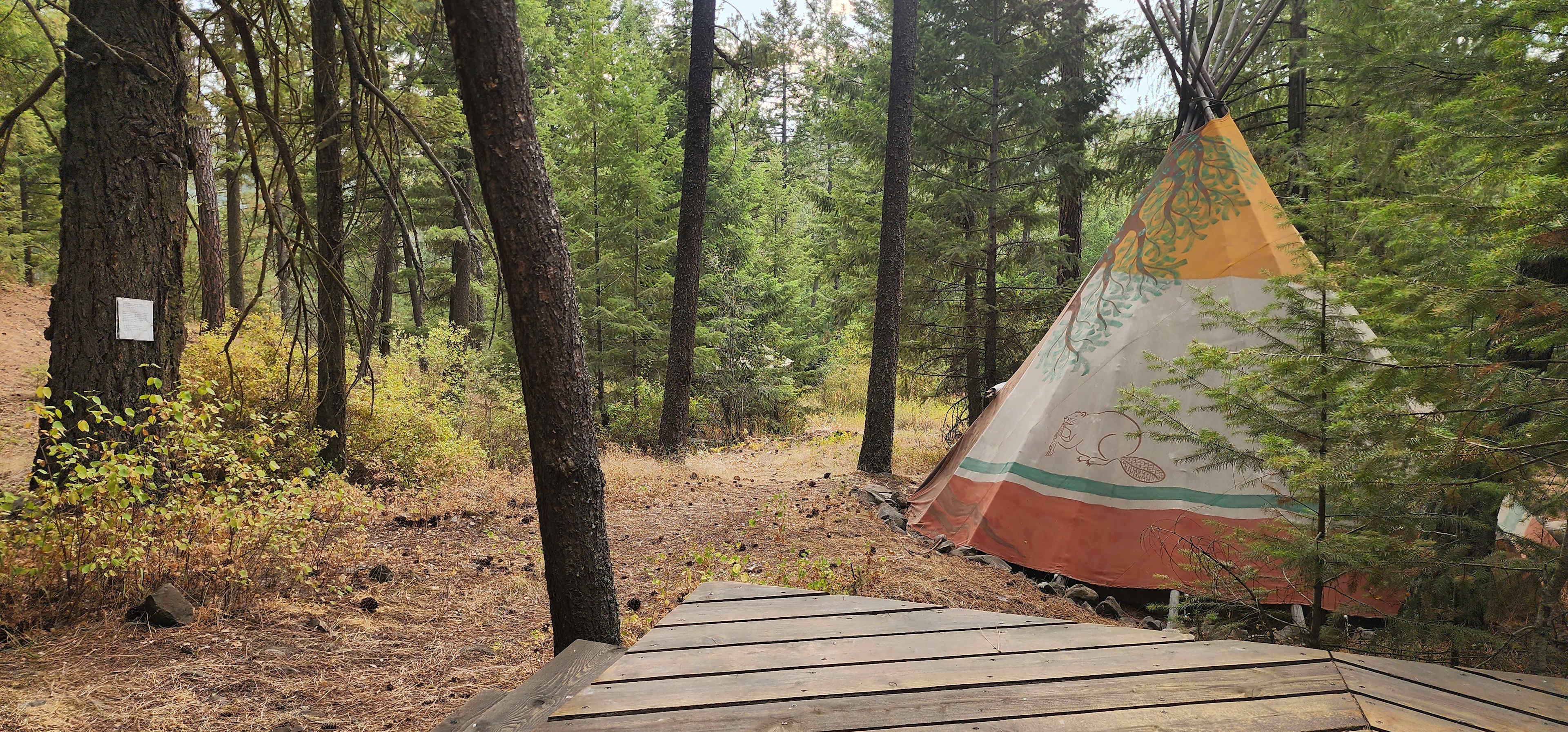 SPOKANE CAMPING In The Forest