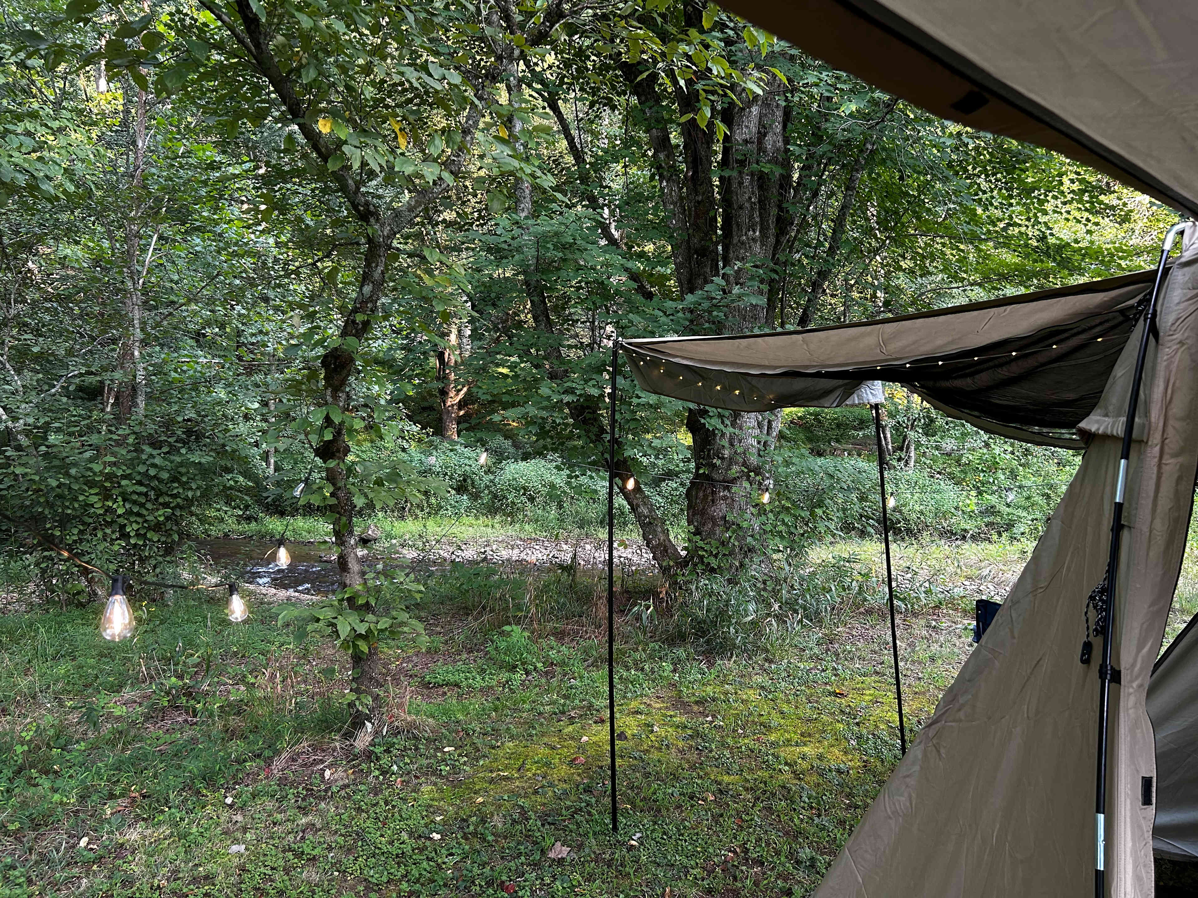 Coweeta Creek Campground