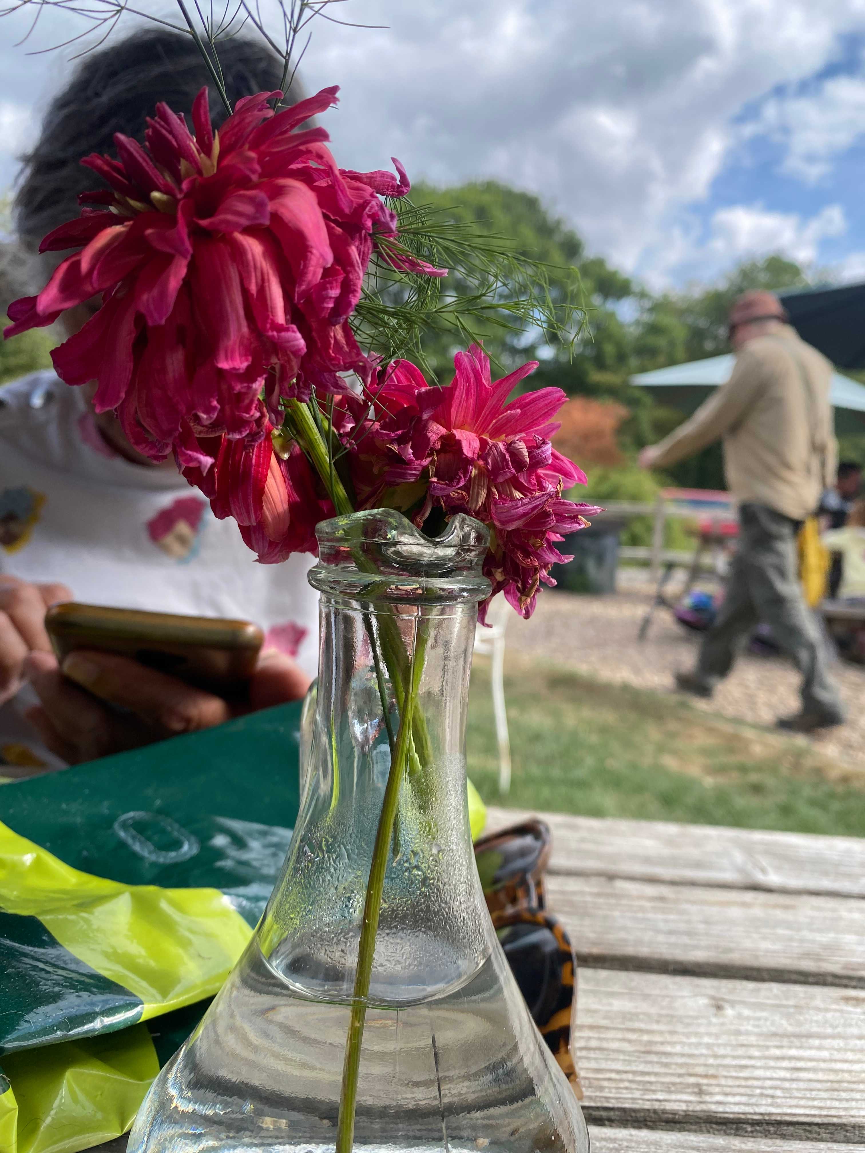 Dernwood Farm Camping & Glamping