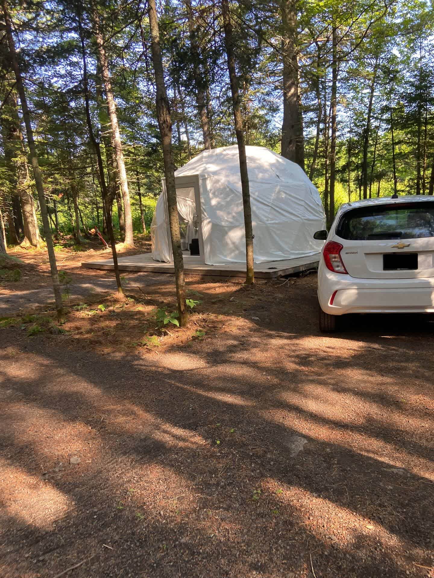 Picture of the site