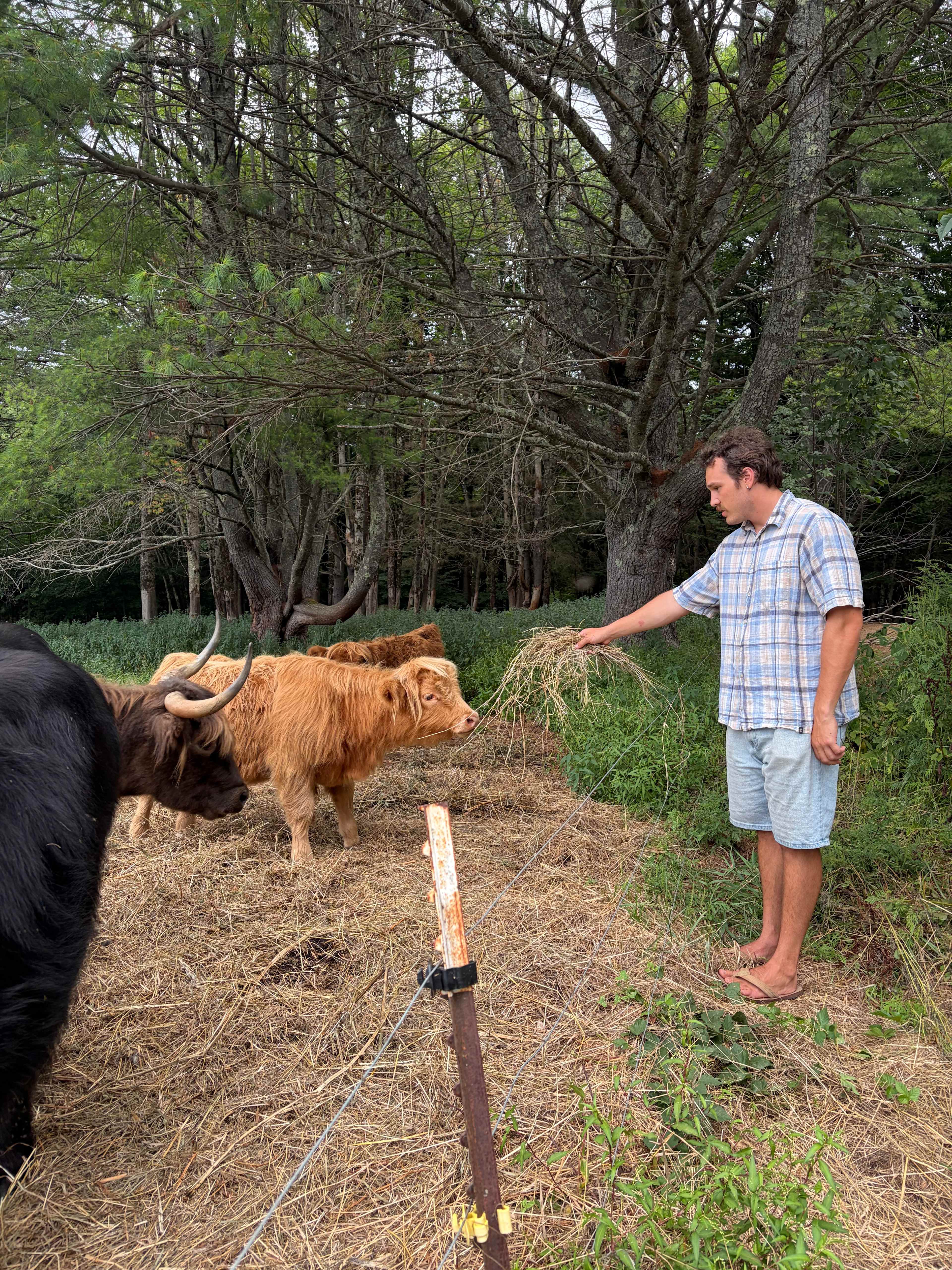 Tir na nOg Farm