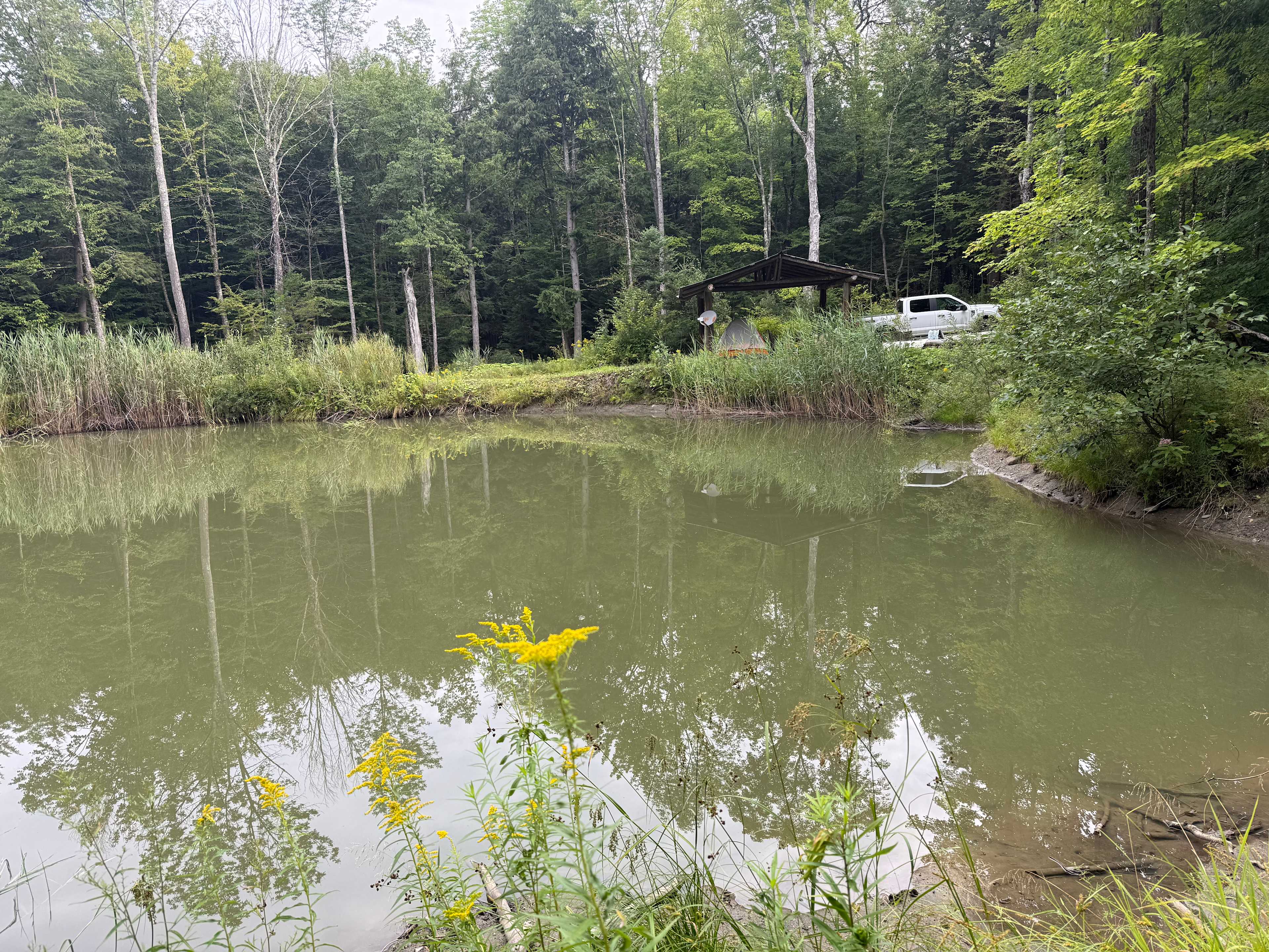 Little Sister's Campsite