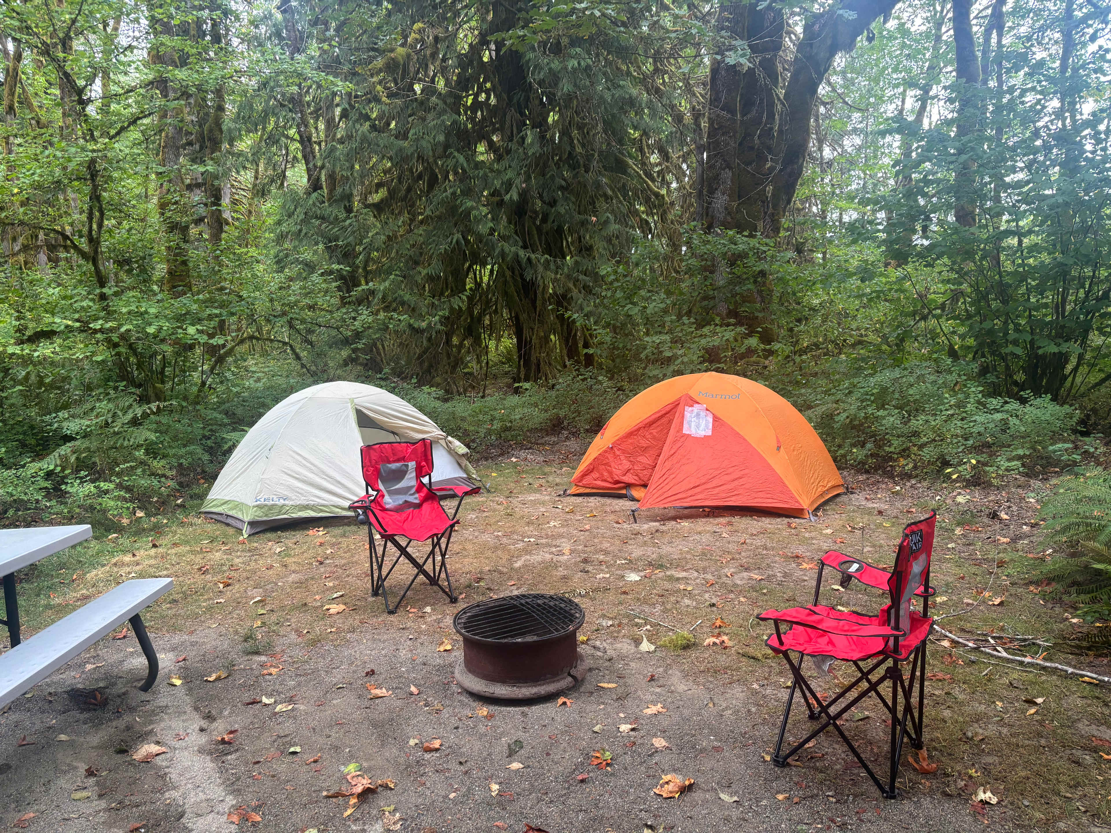 Picture of the site