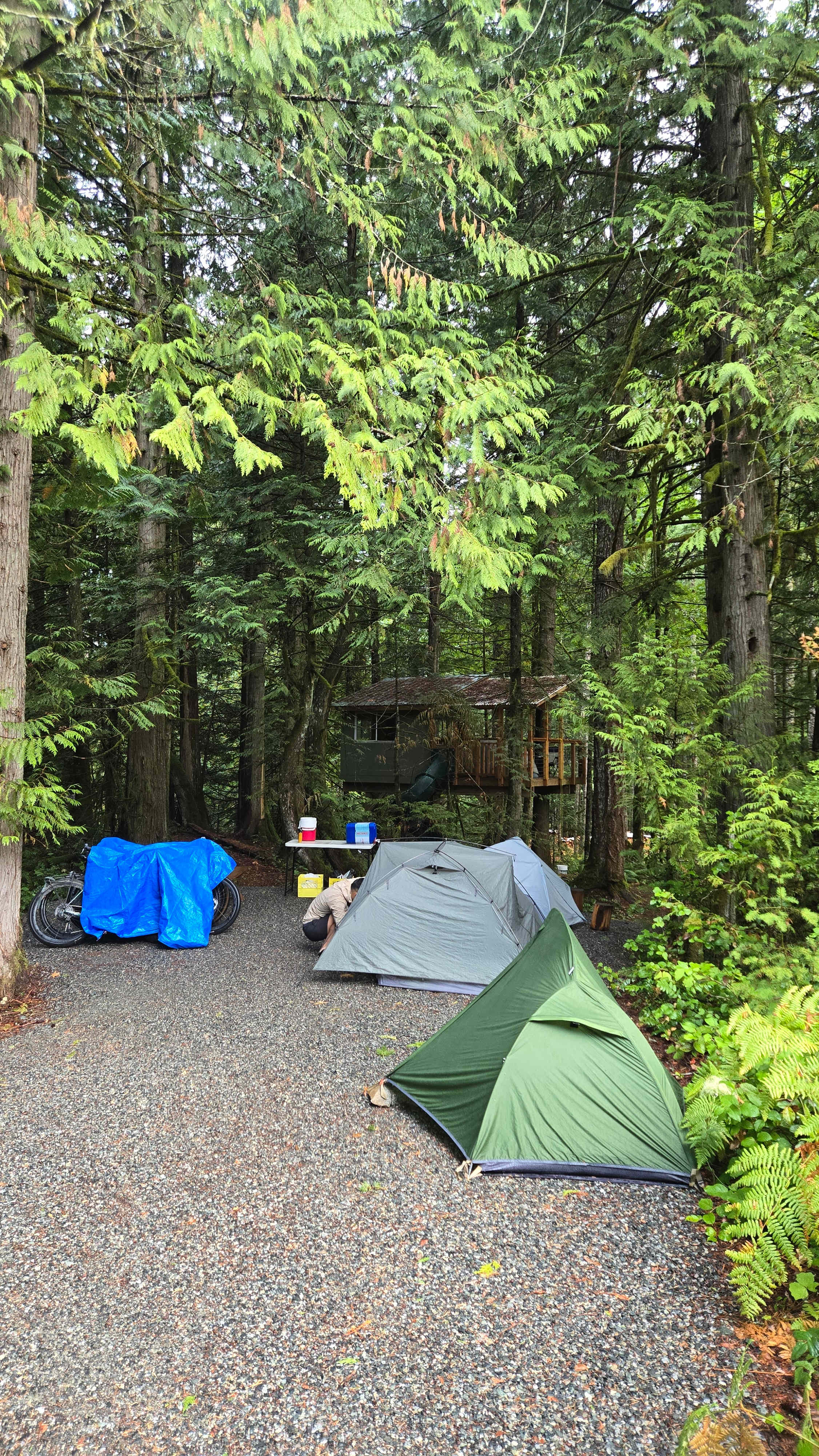 Forest Hideaway