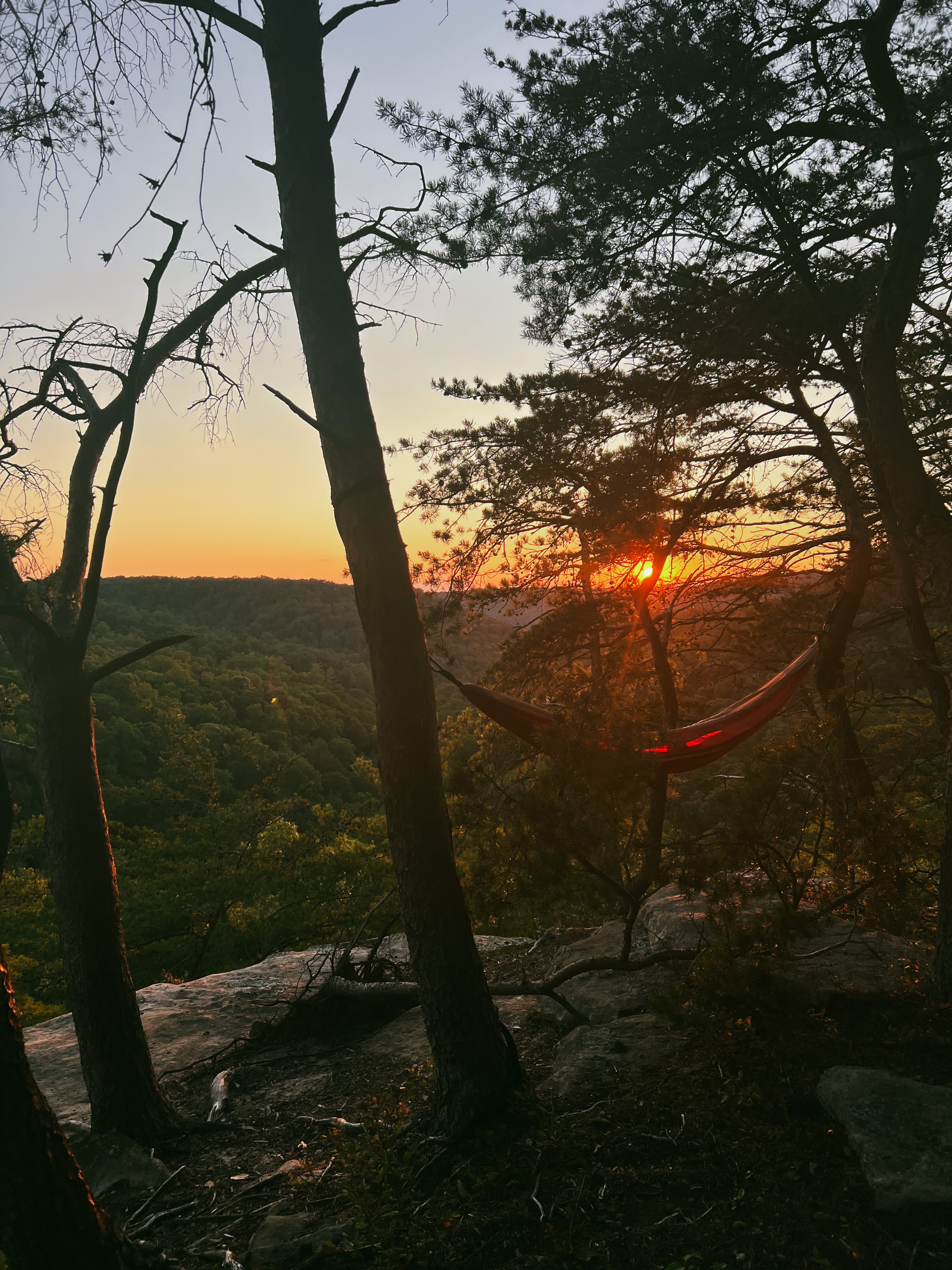 The LAAAAND (just you & 50 acres)