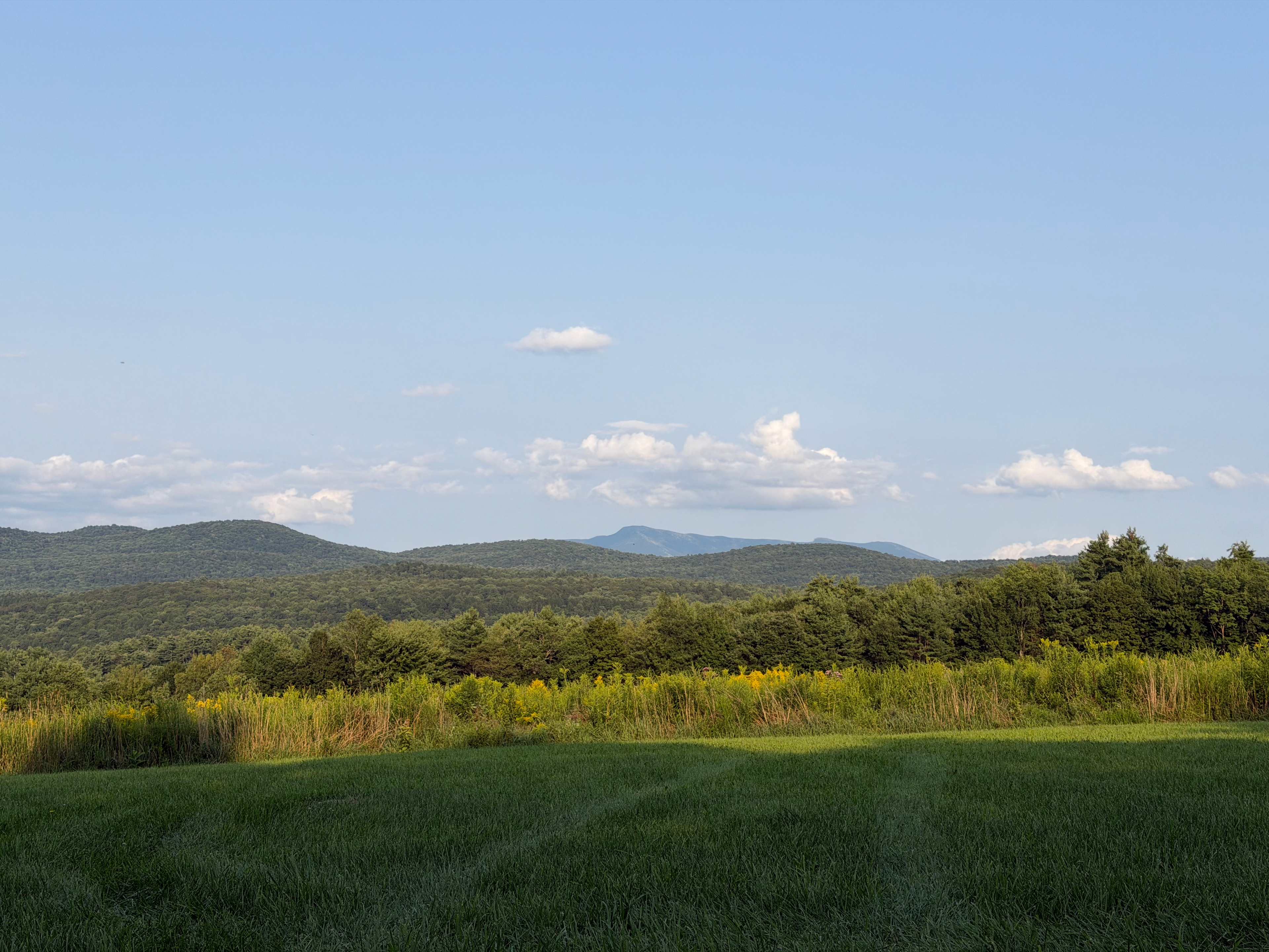 Harold's View Farm