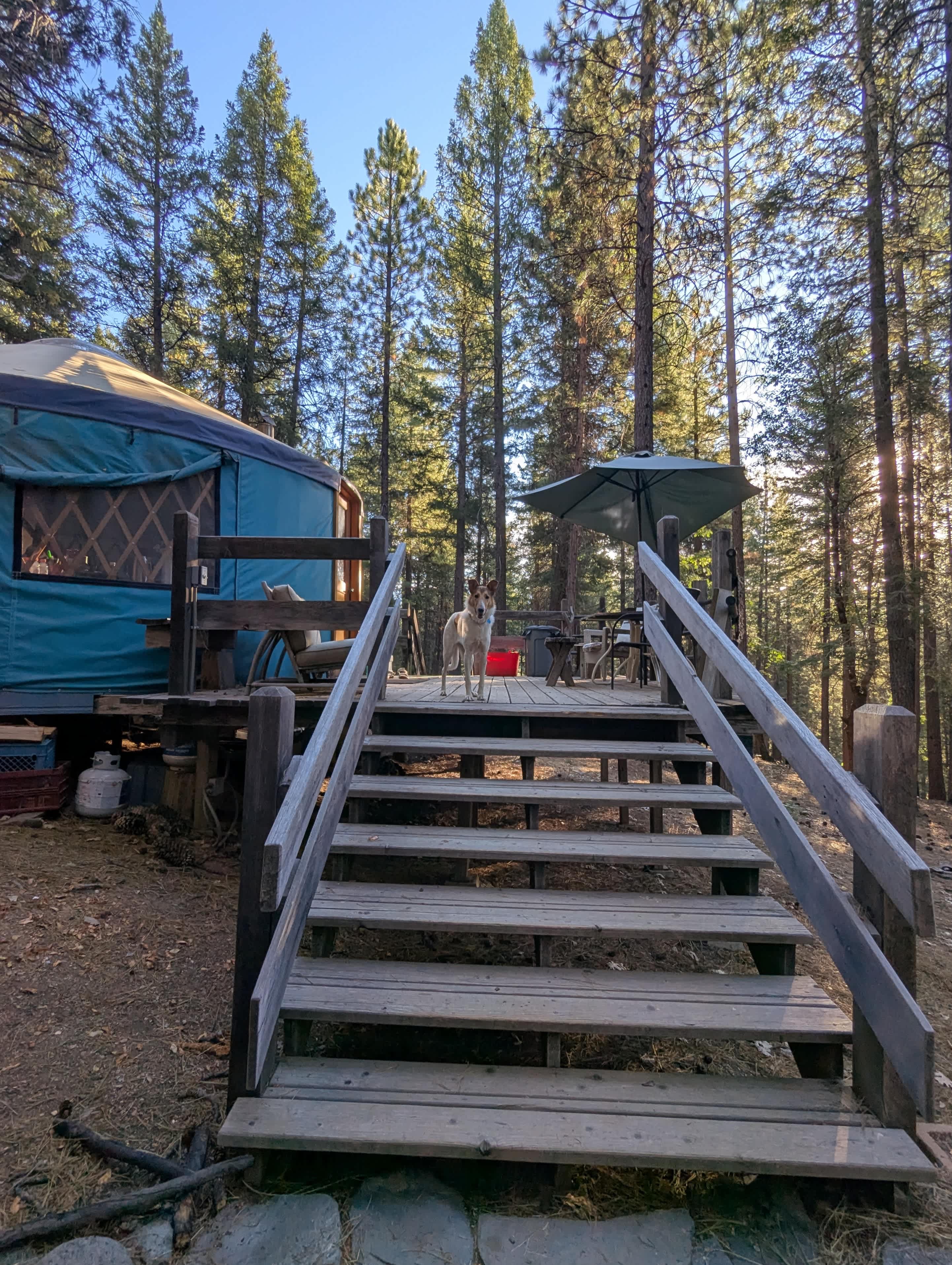 Butterfly Valley Yurt