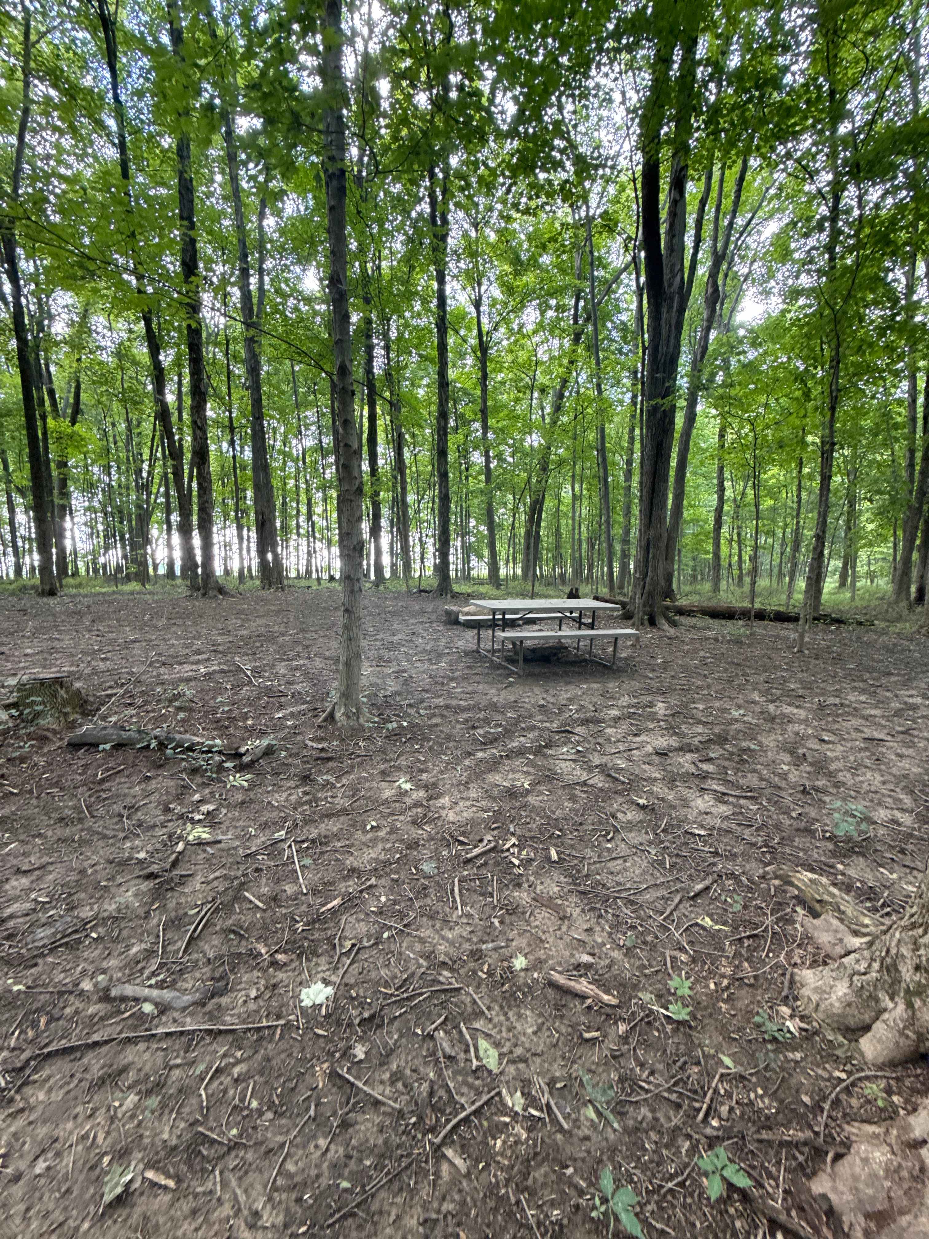 Site 9 as a blank slate. Table was easy to move and site was easy to customize to my needs.