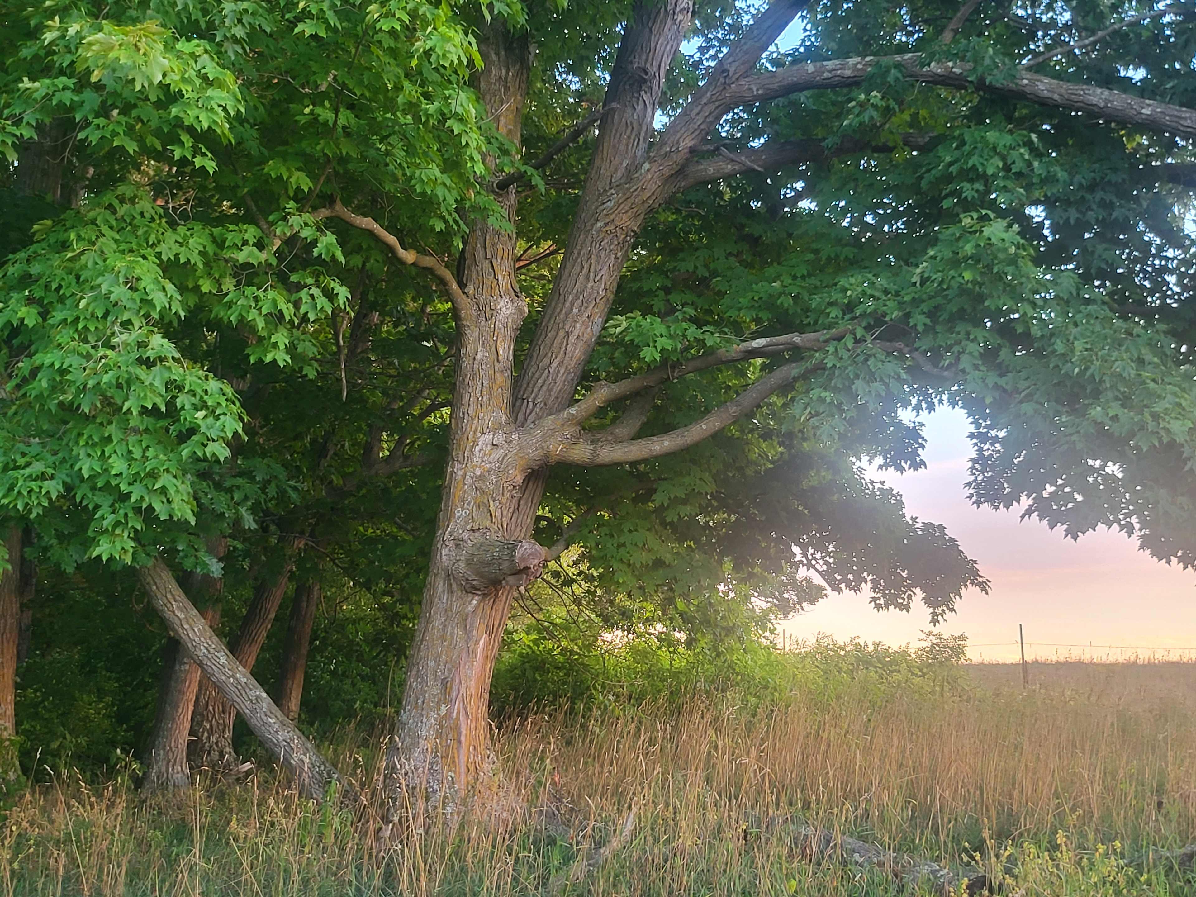 Secluded Ice Age Trail Camping