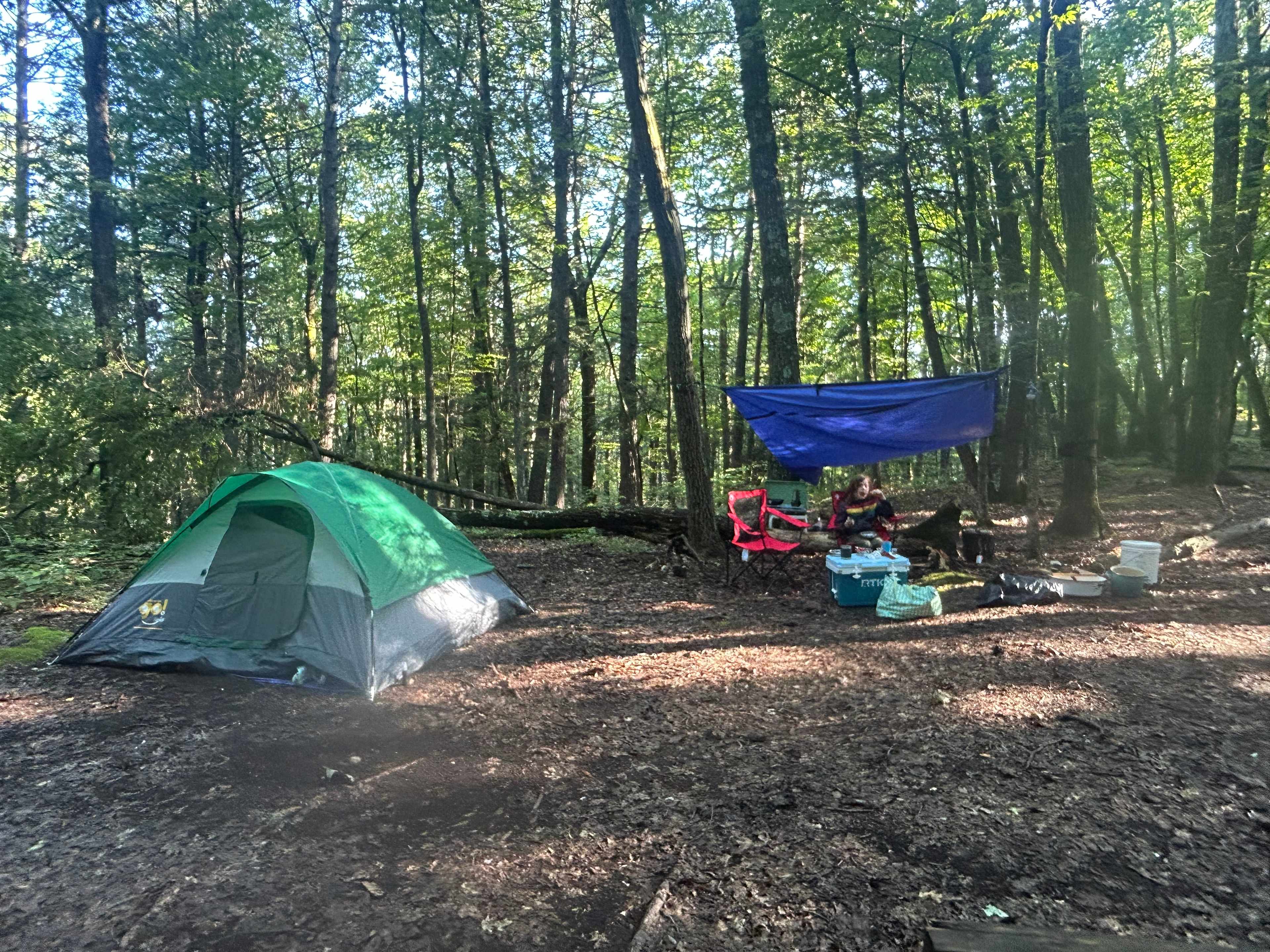 Site 2