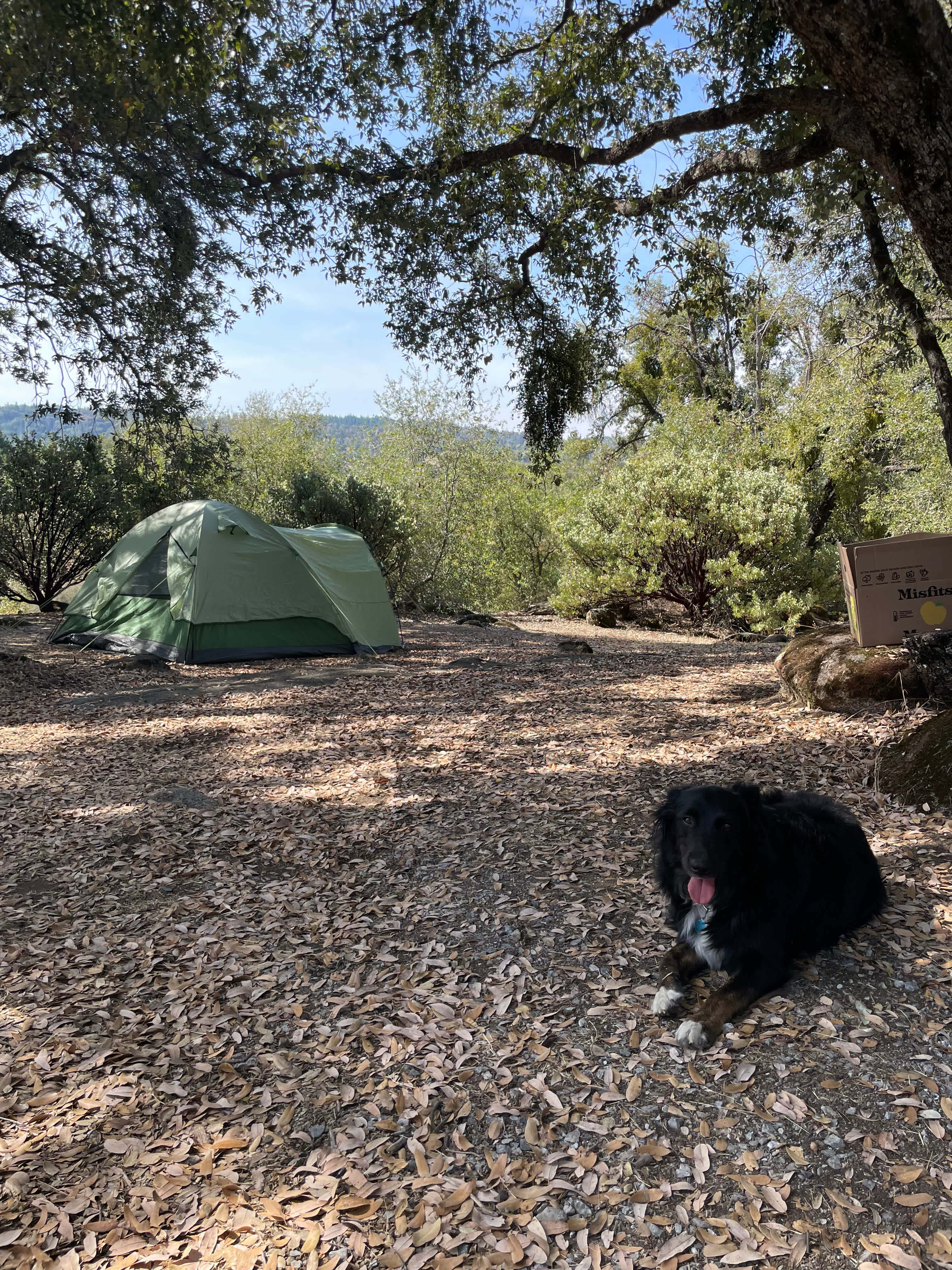 Camp 🏕 Gold Dust Vineyard