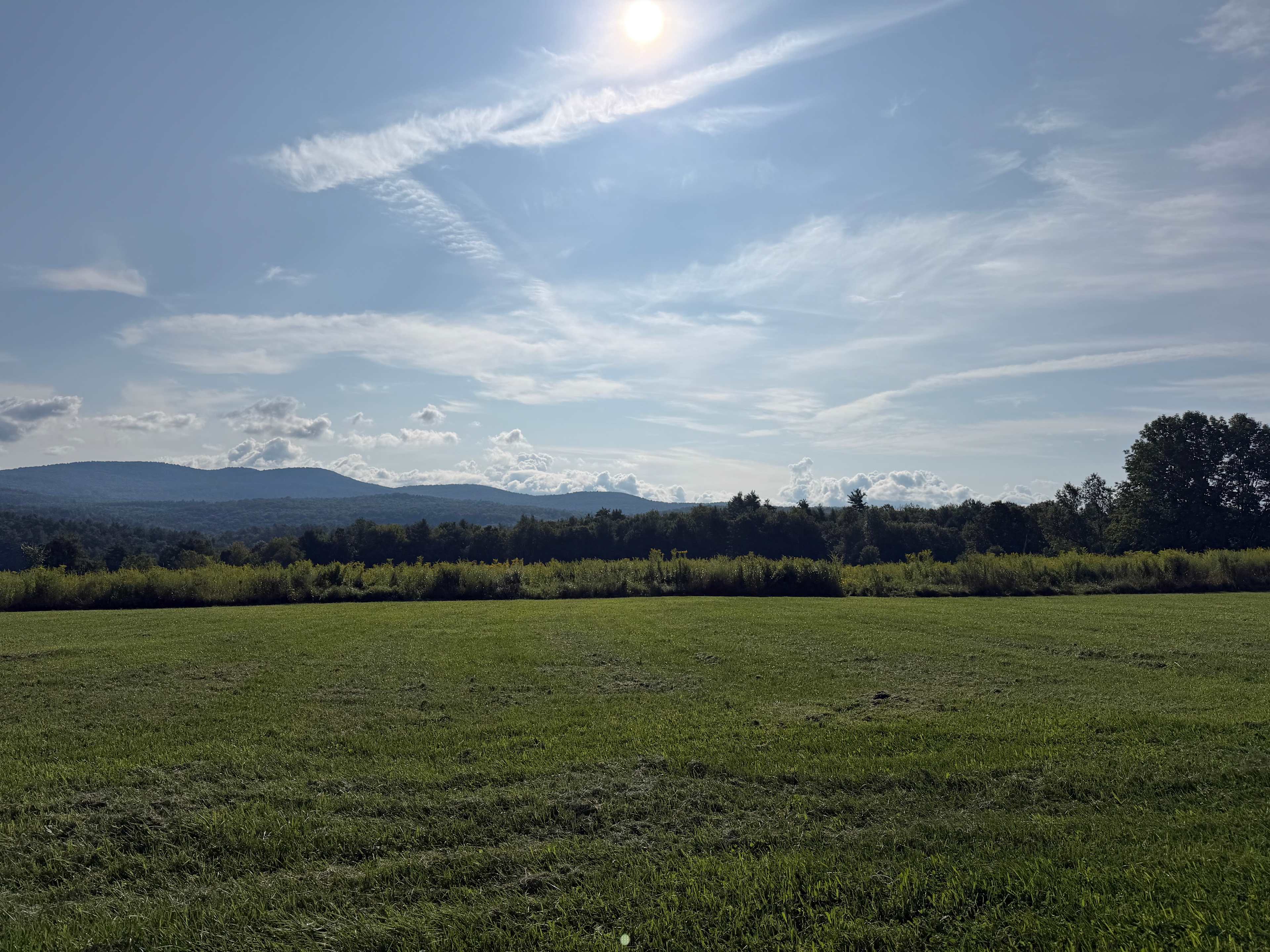 Harold's View Farm