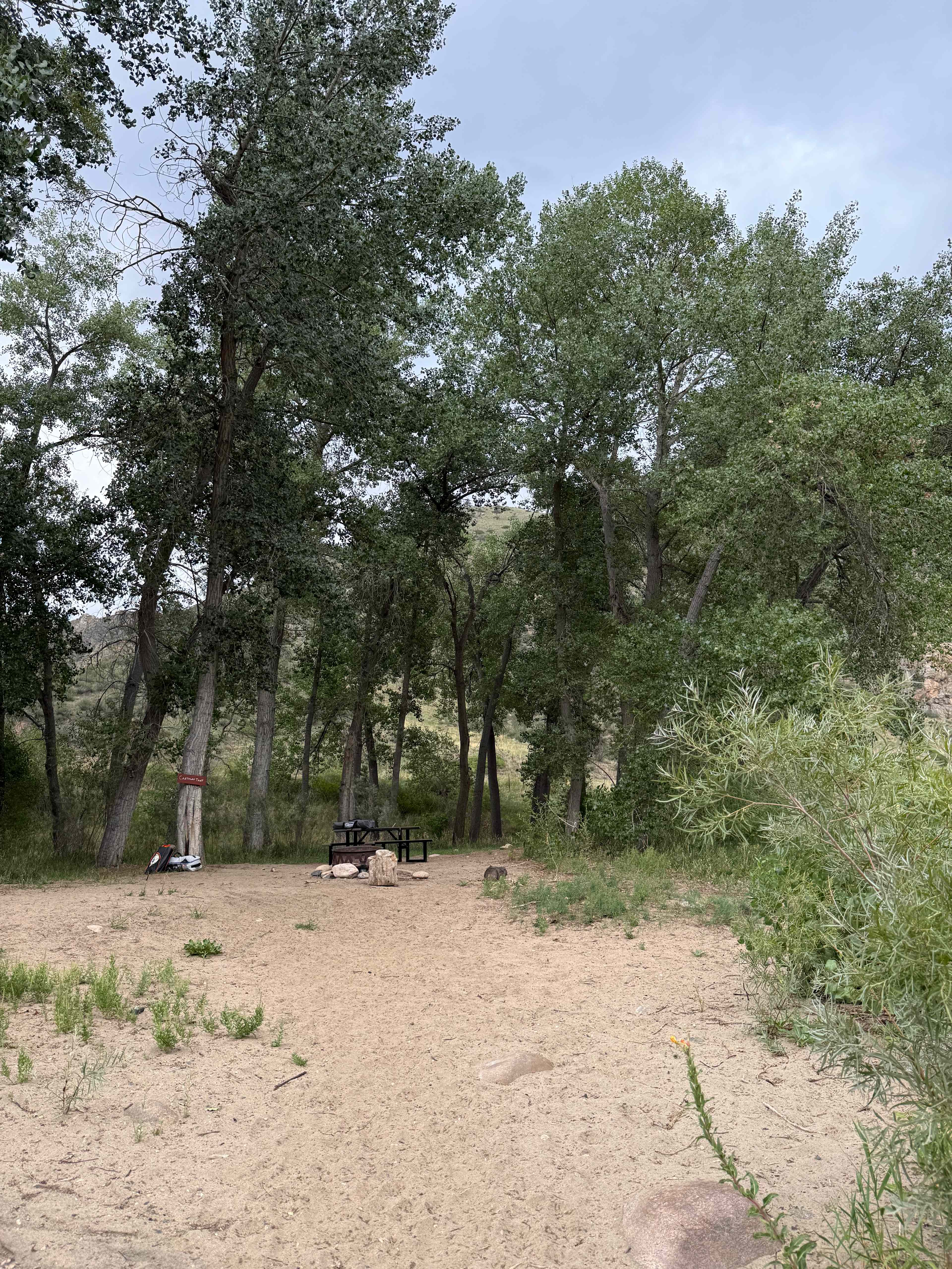Basecamp On The Poudre