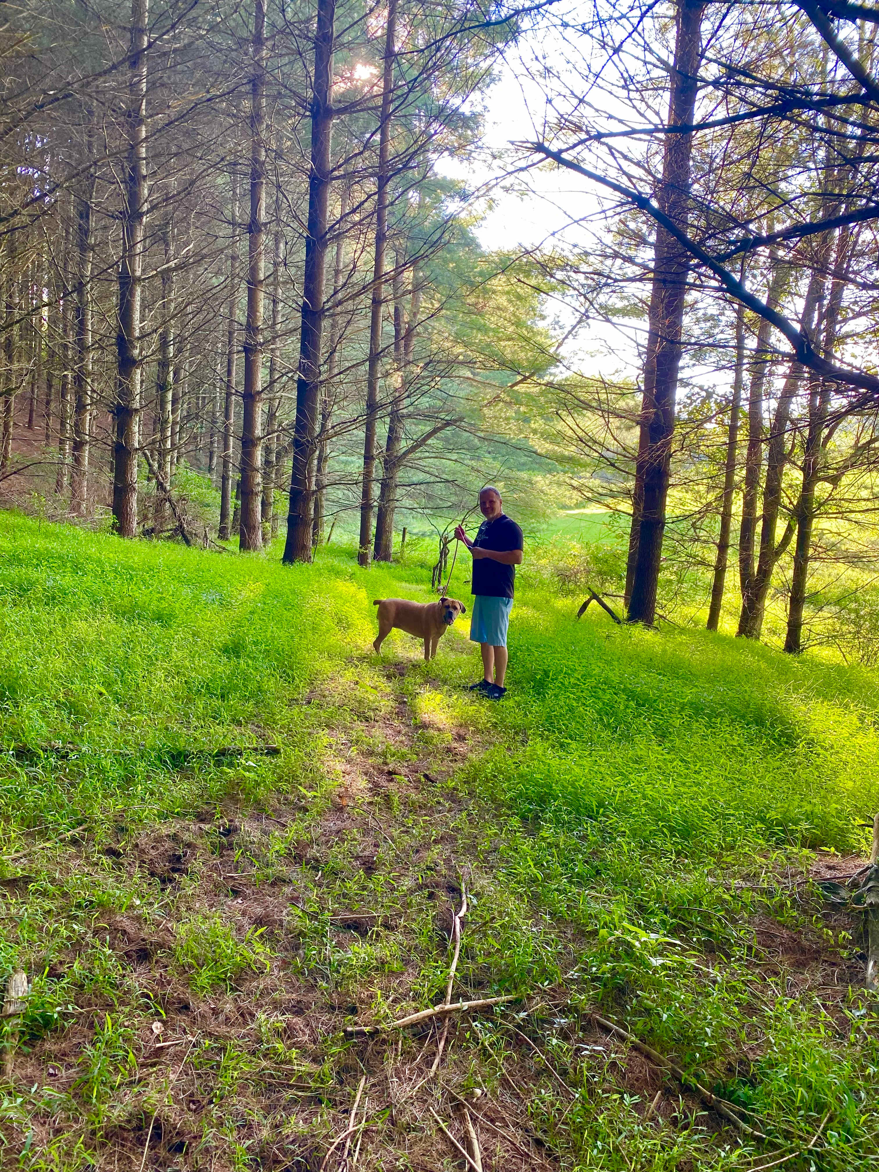 Trail to the cabin ruins