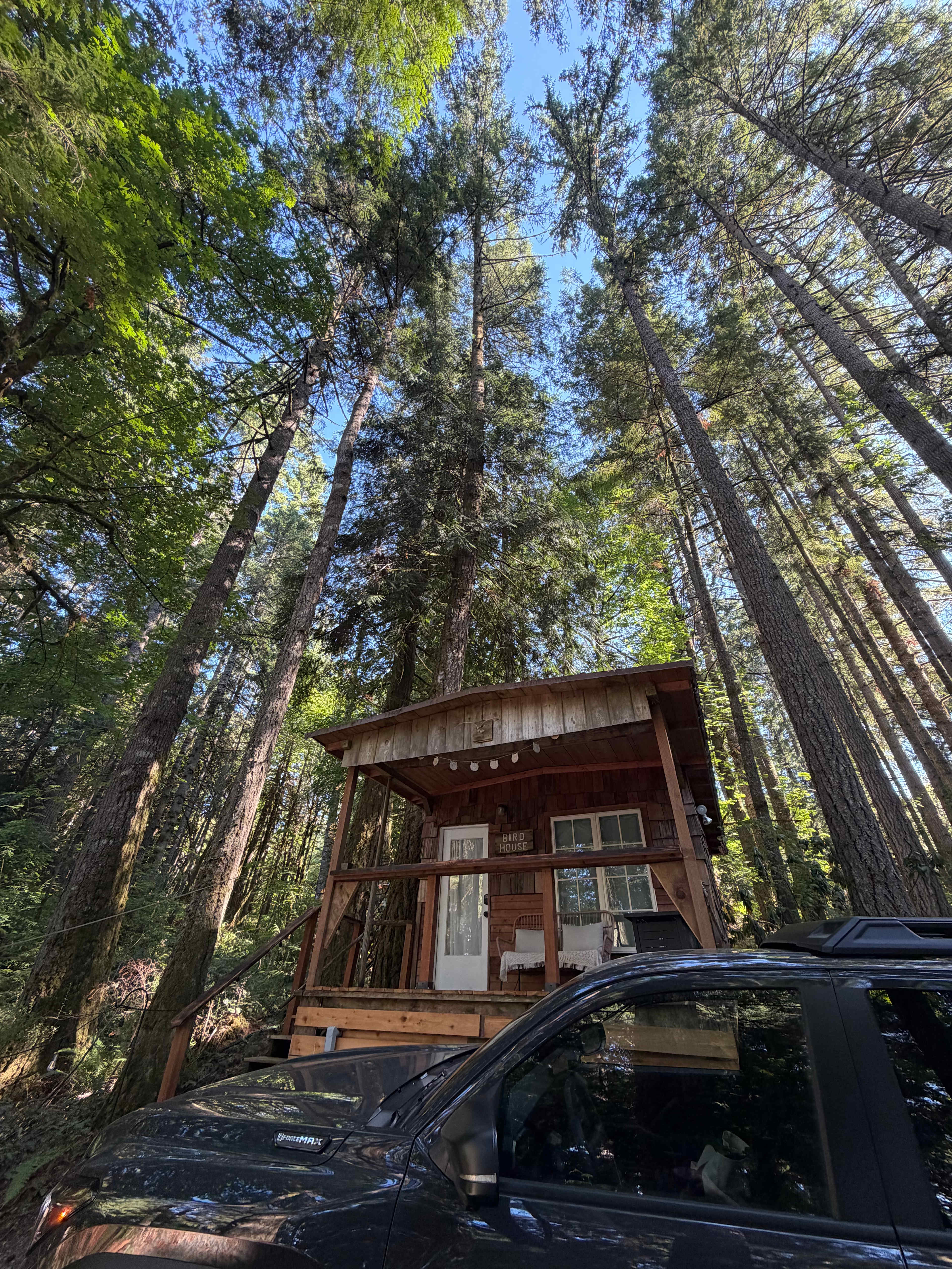 Elevation Hive Forest Retreat