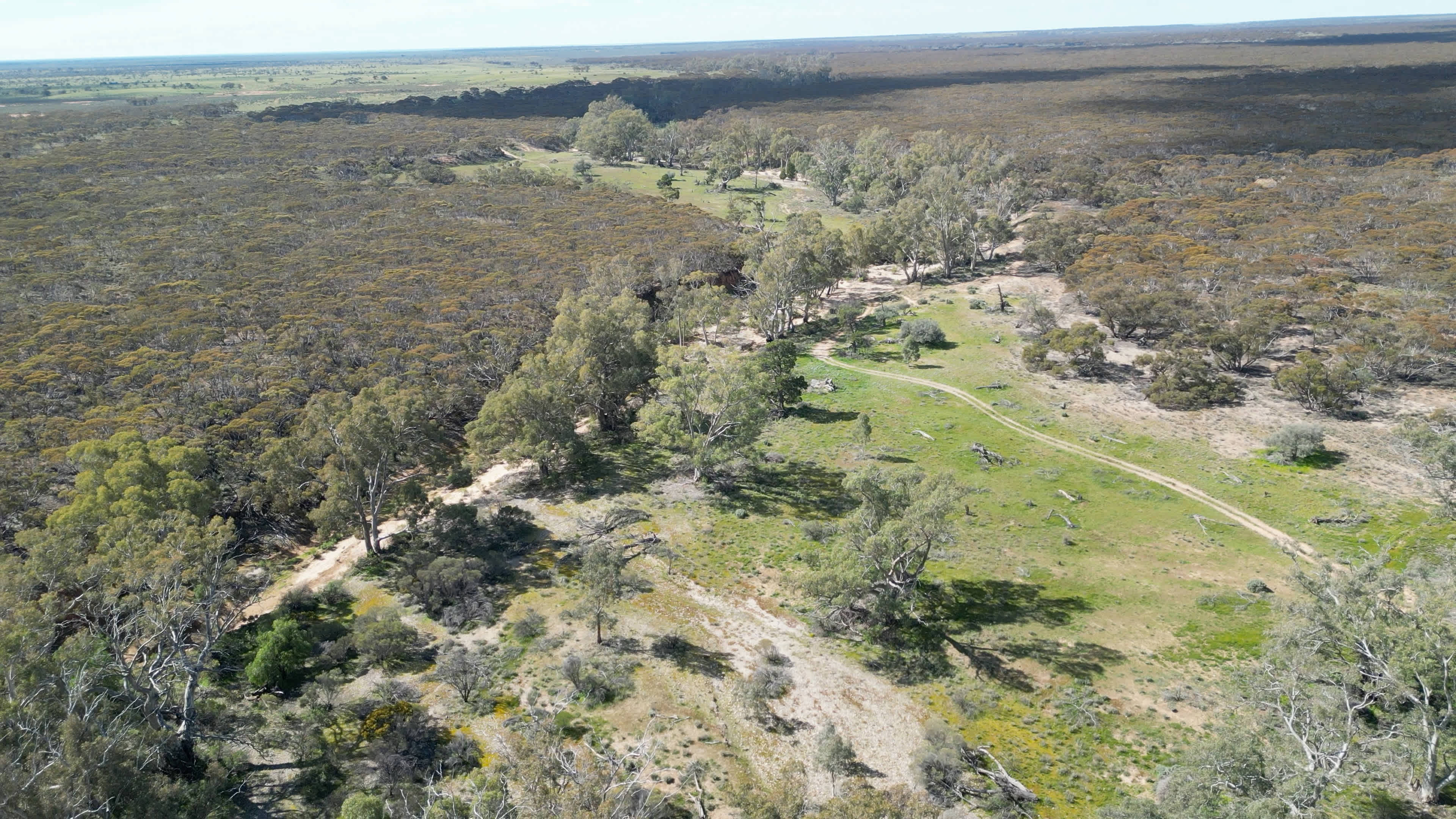 Burra Creek Camping