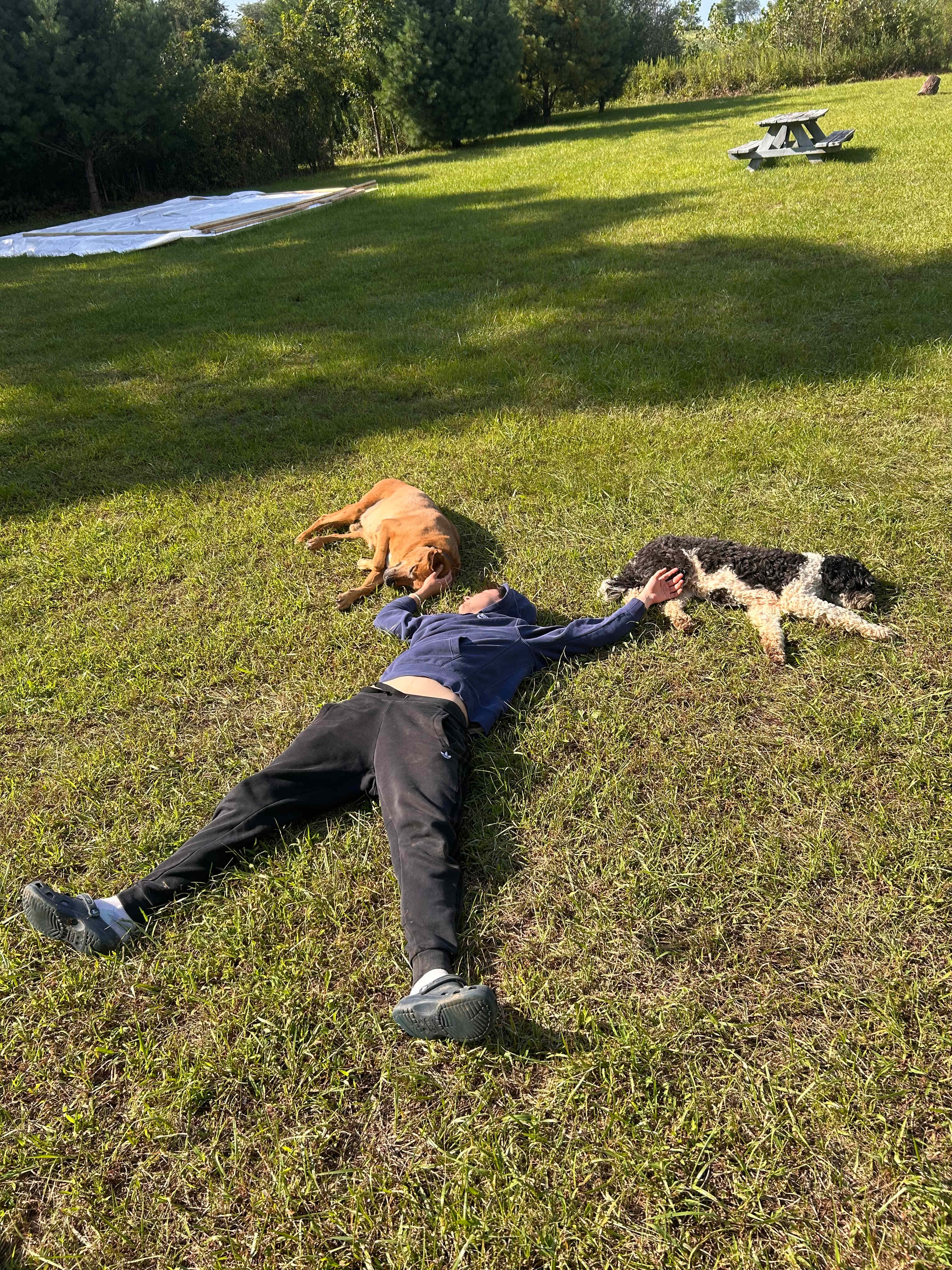 Chilling with the dogs