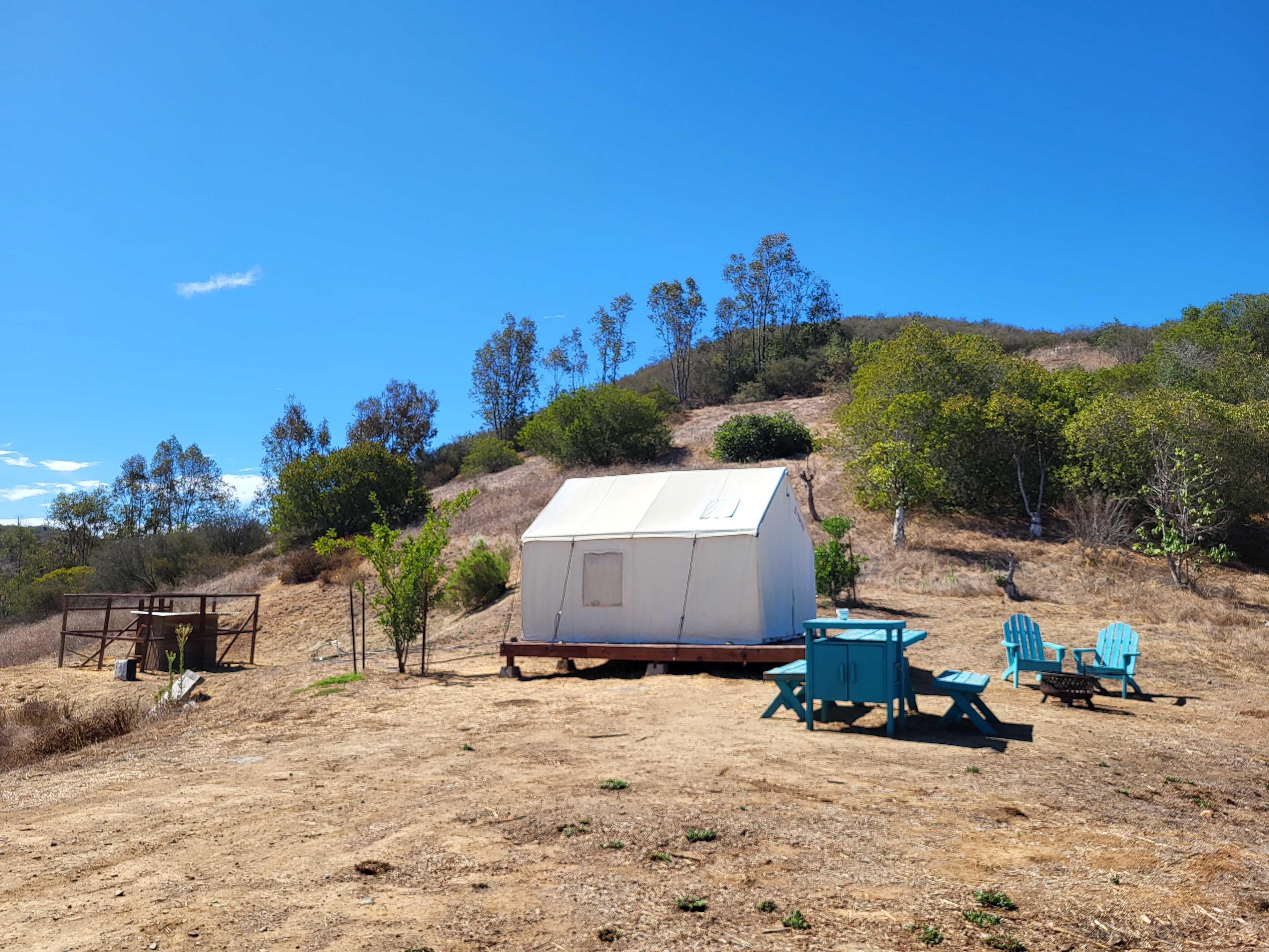 The tent