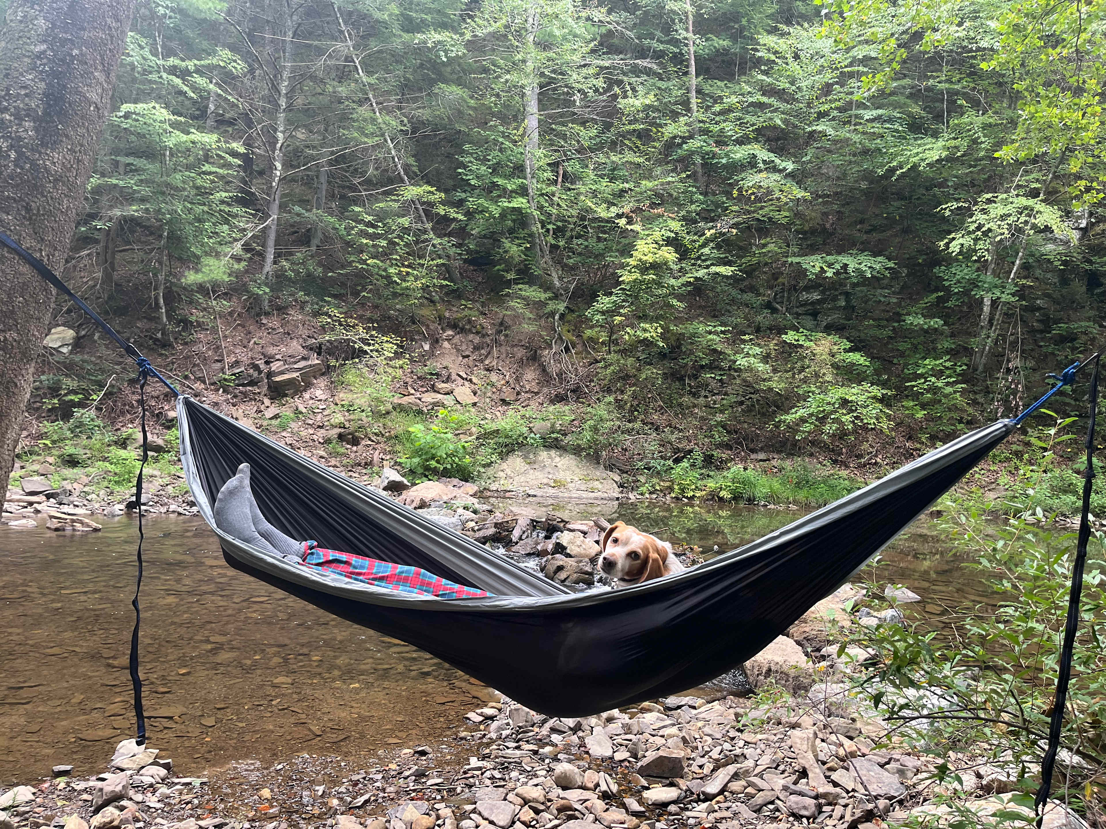 Camp Cedar Creek