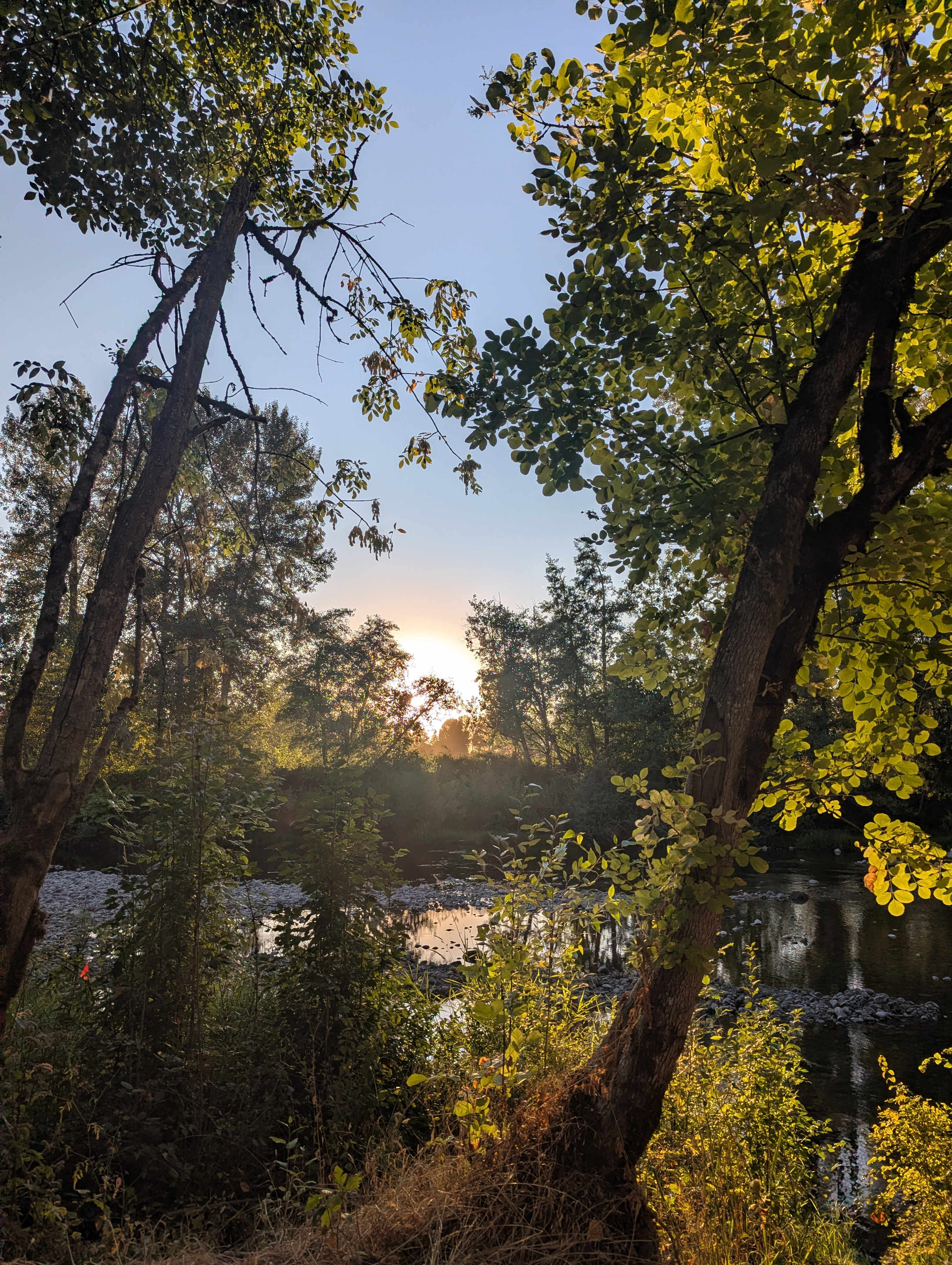 Molalla Ripple