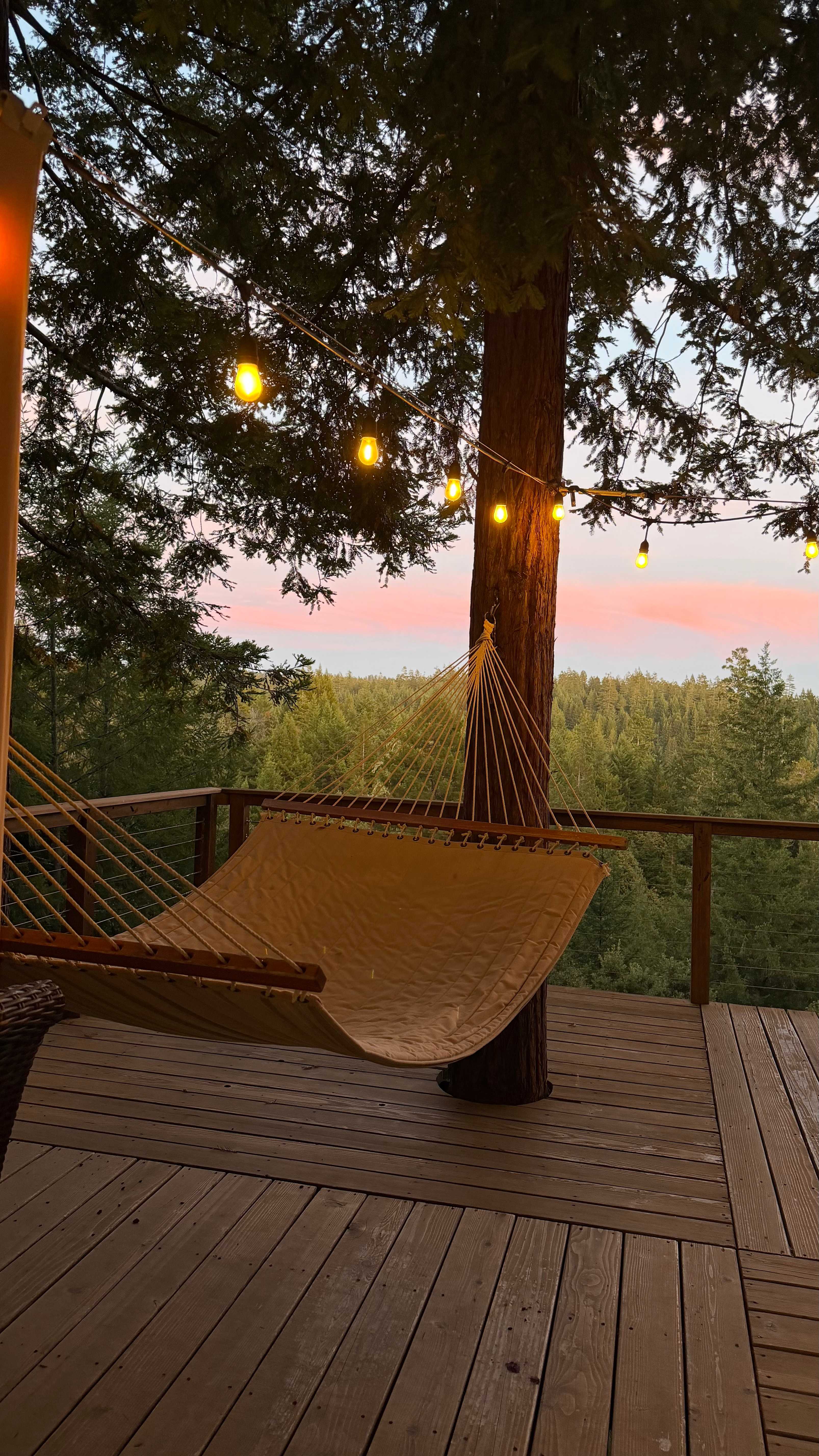 The Deck