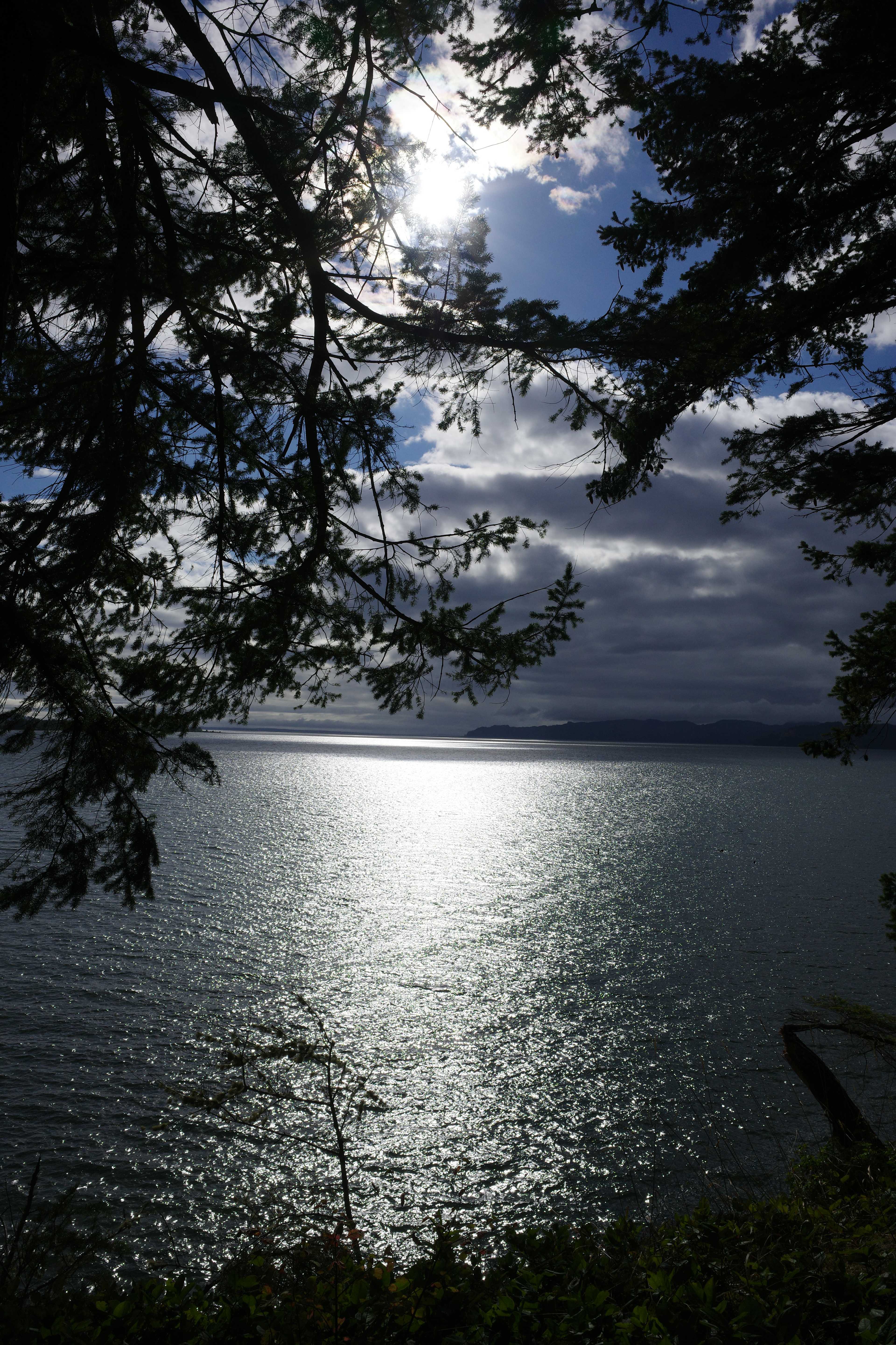 Otter Cove
