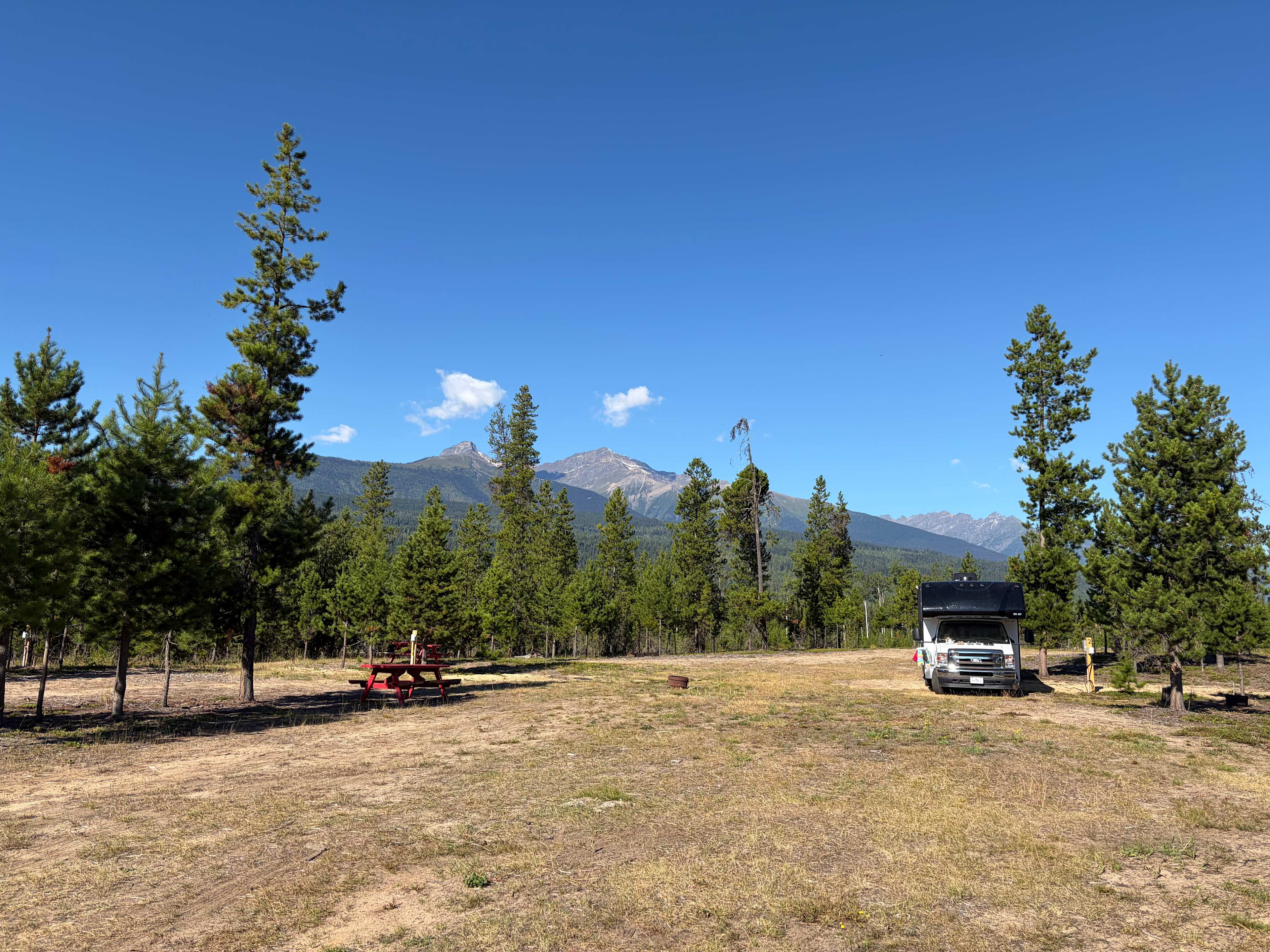 Fuzzy Buddy Ranch