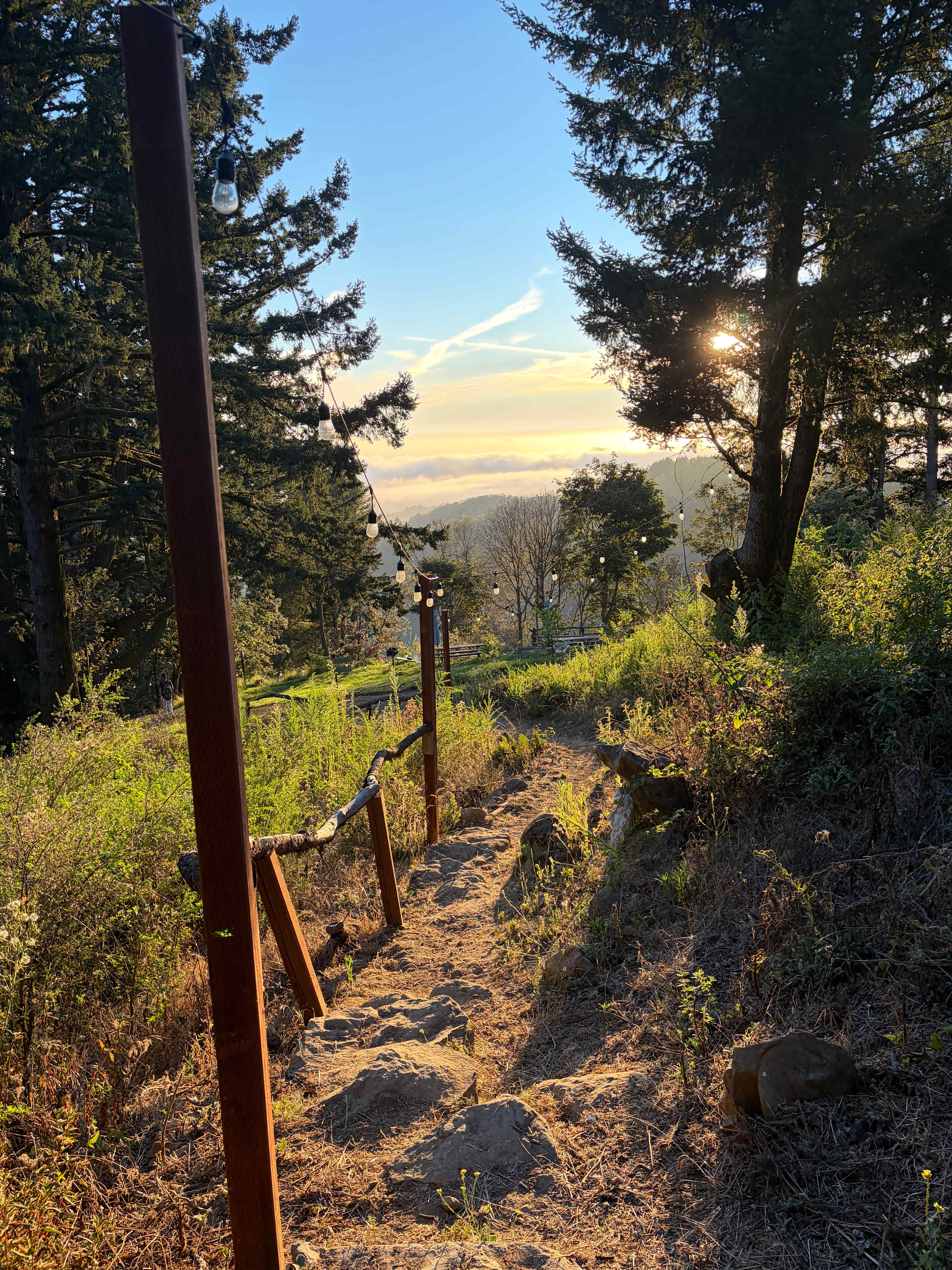 Golden hour