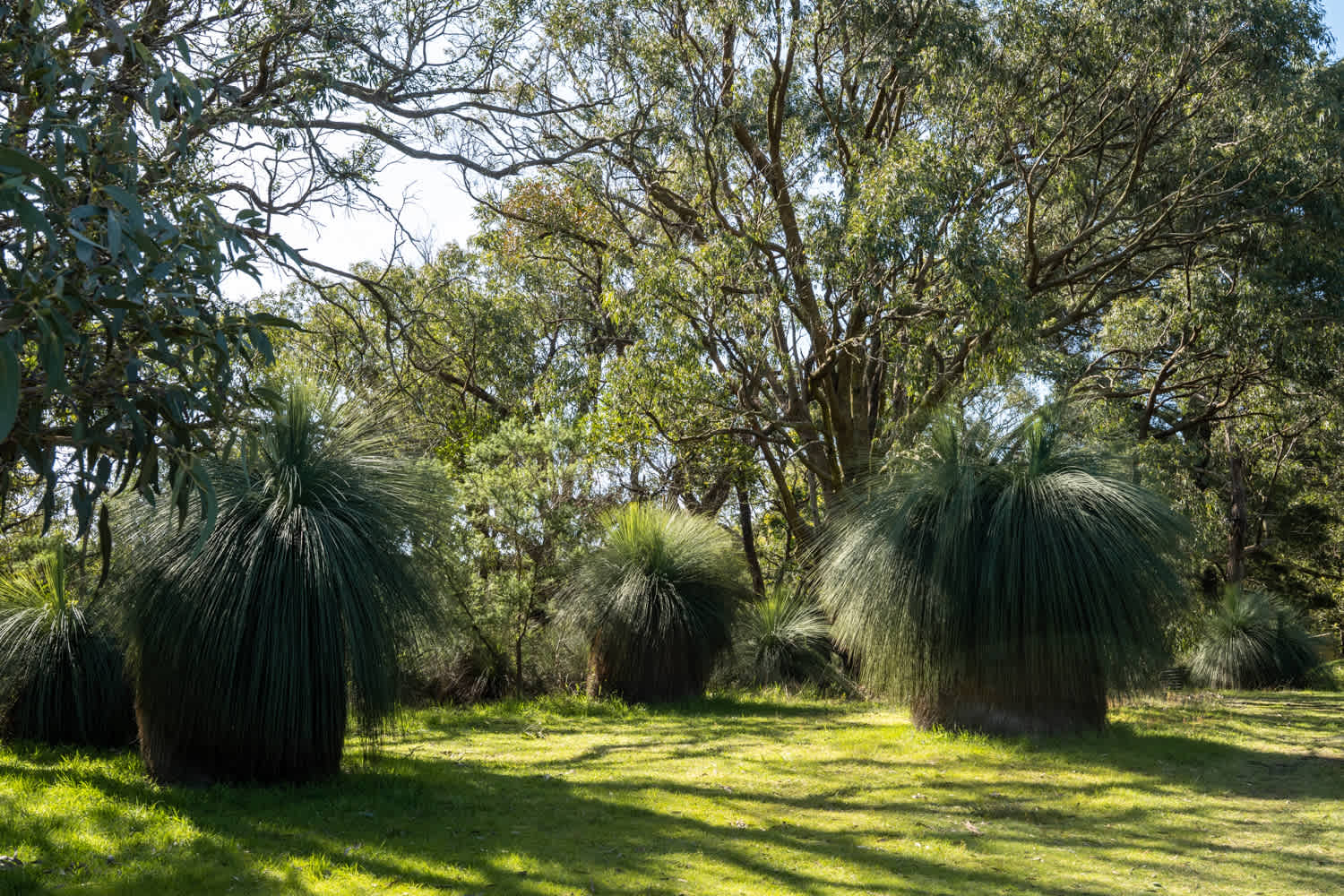 Salt Wood Glamping