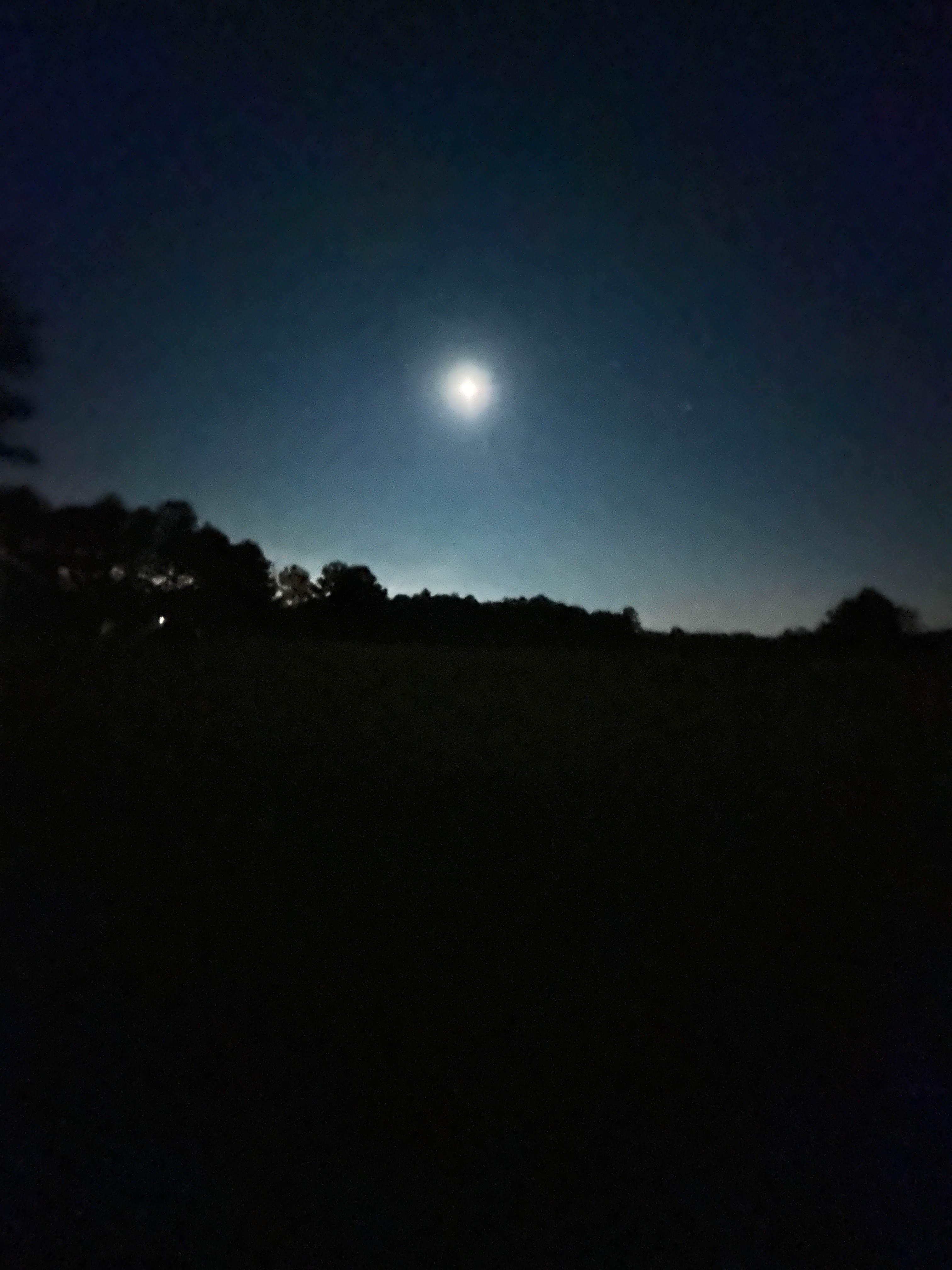 Star gazing on site