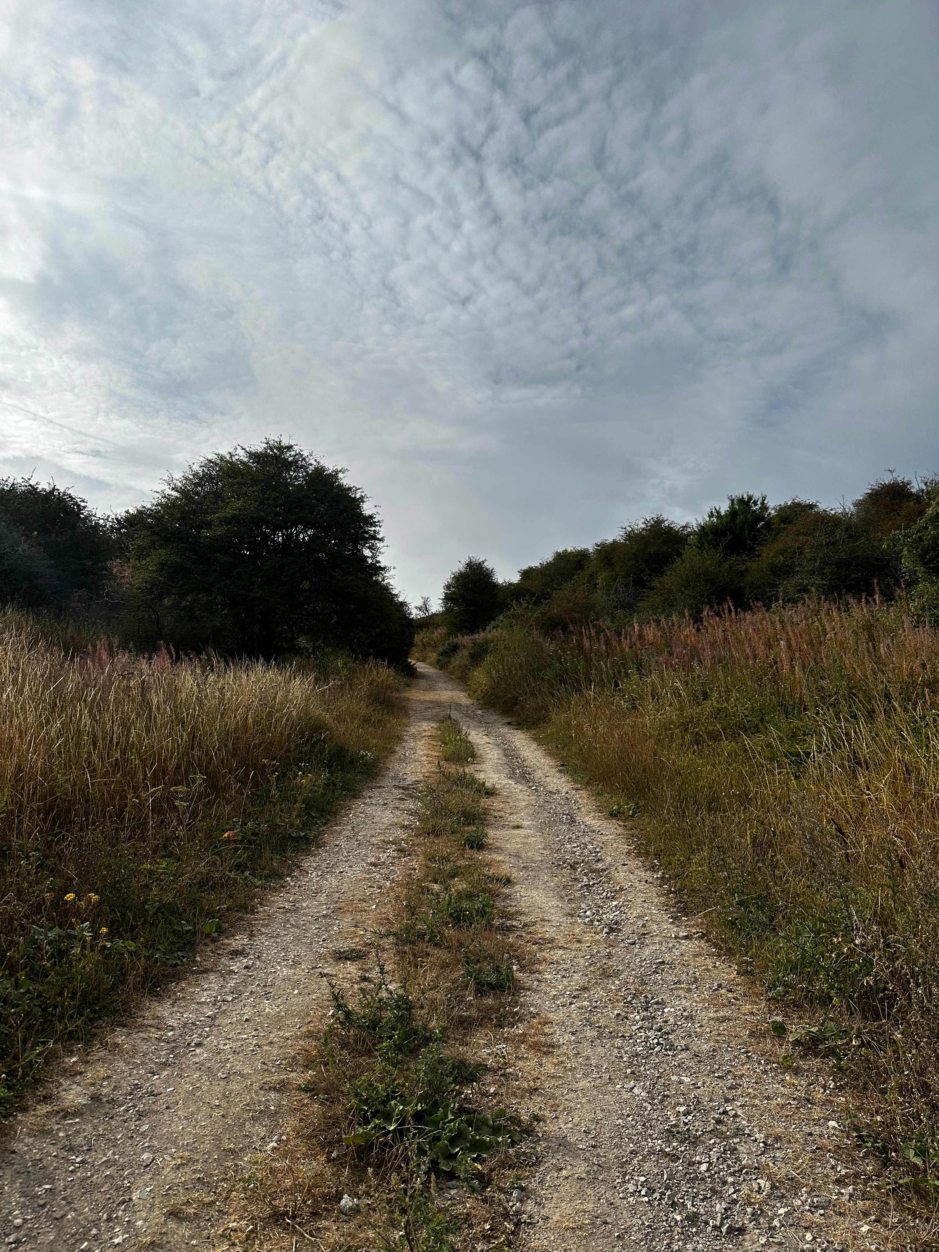Walk from the campsite