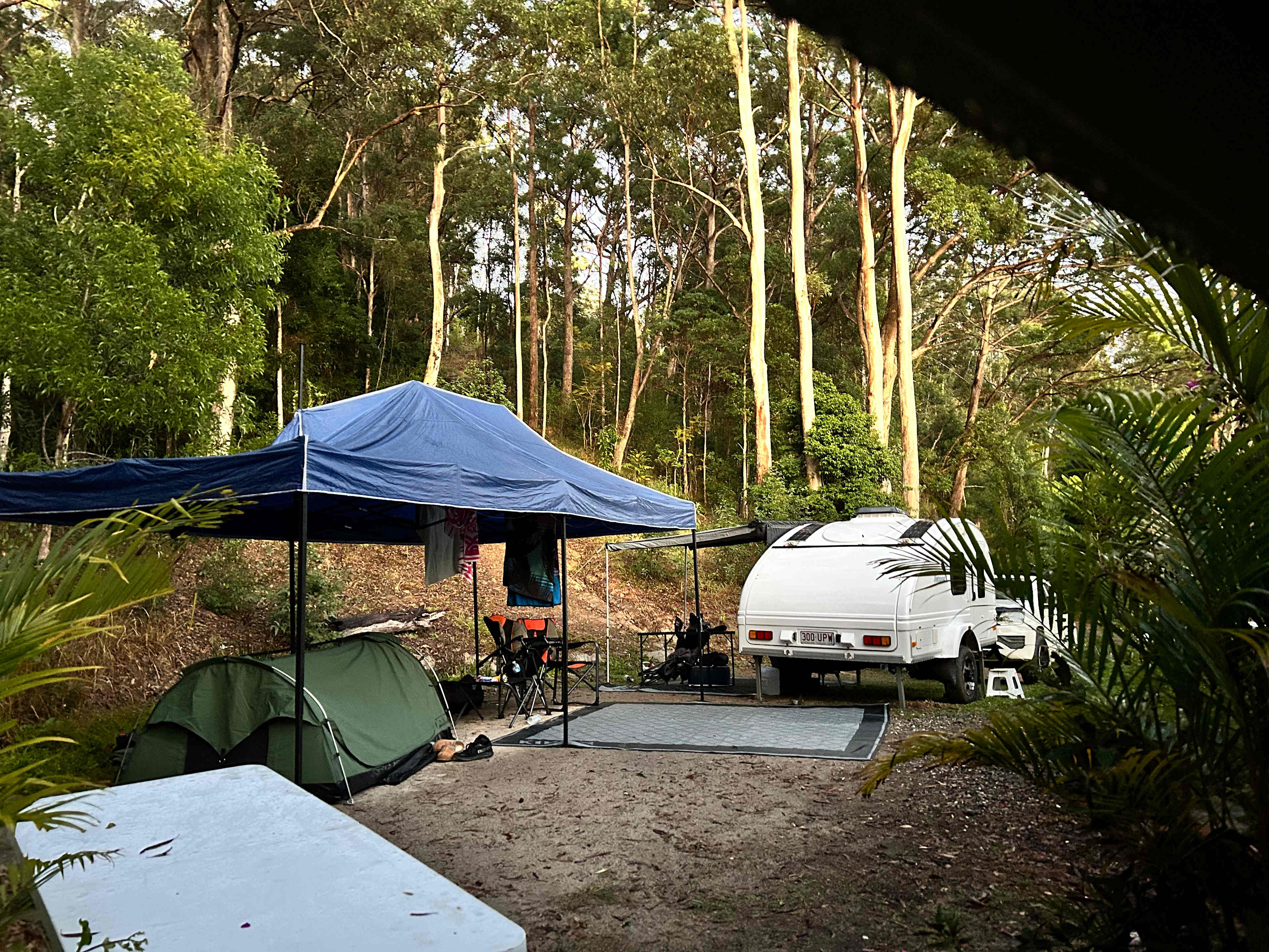 Sustainable Secluded Forestry Camp