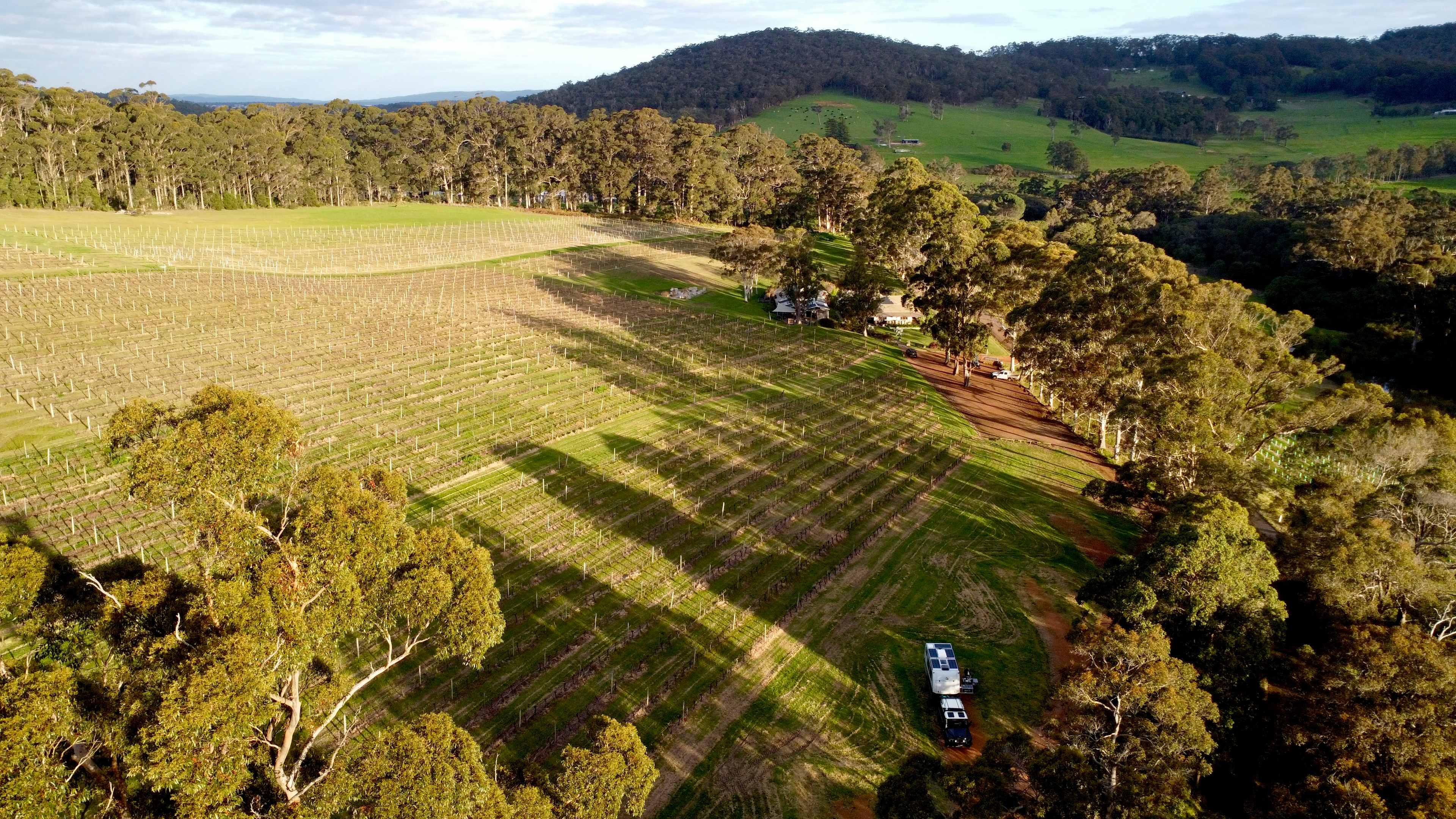 Stunning Rockcliffe Vineyard
