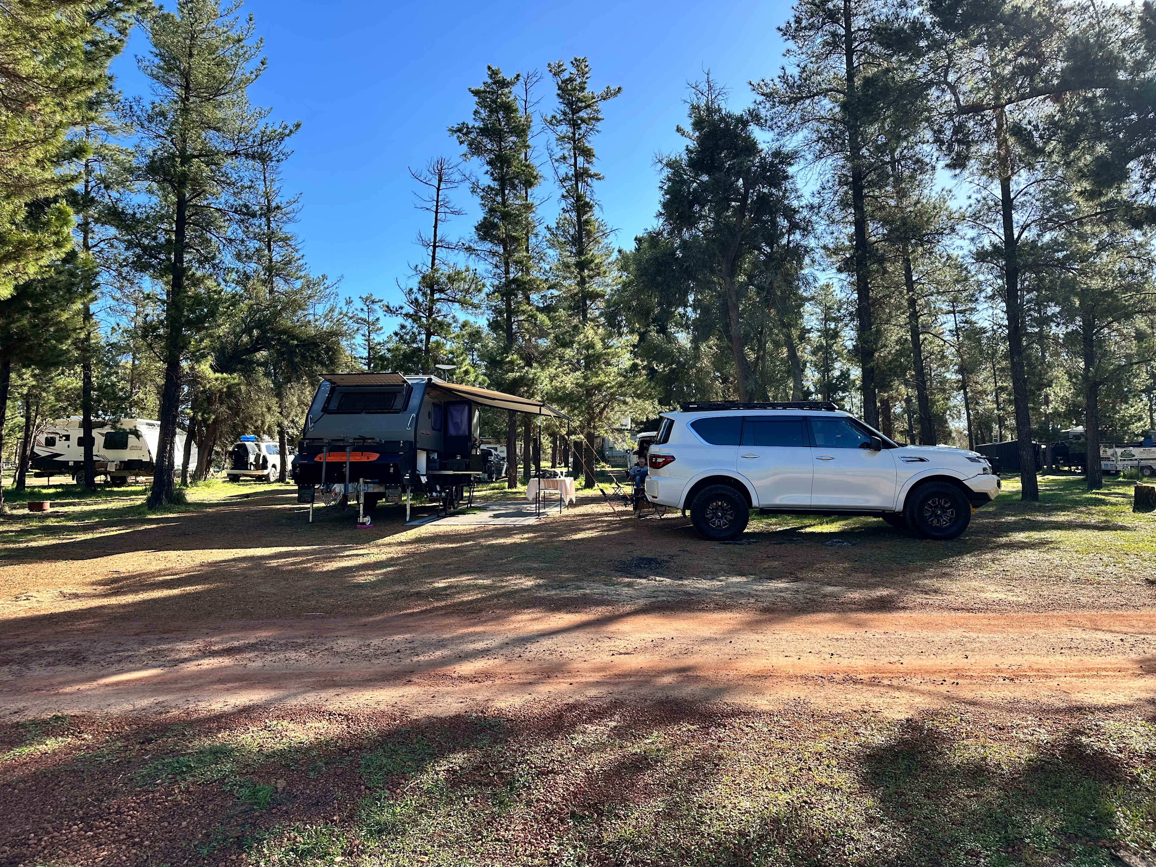 Little Eeden Farm Pine Camp