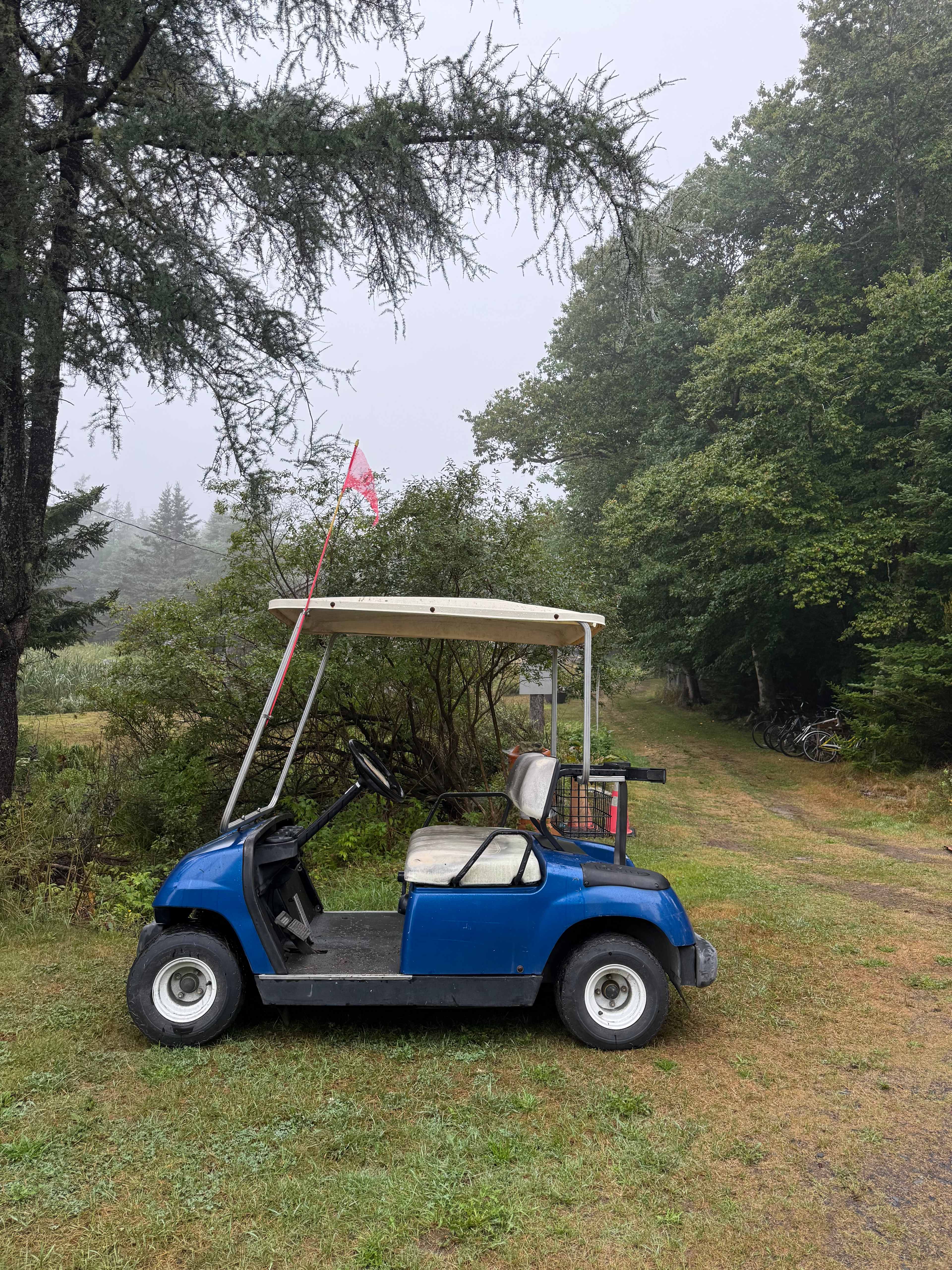 The cart! 