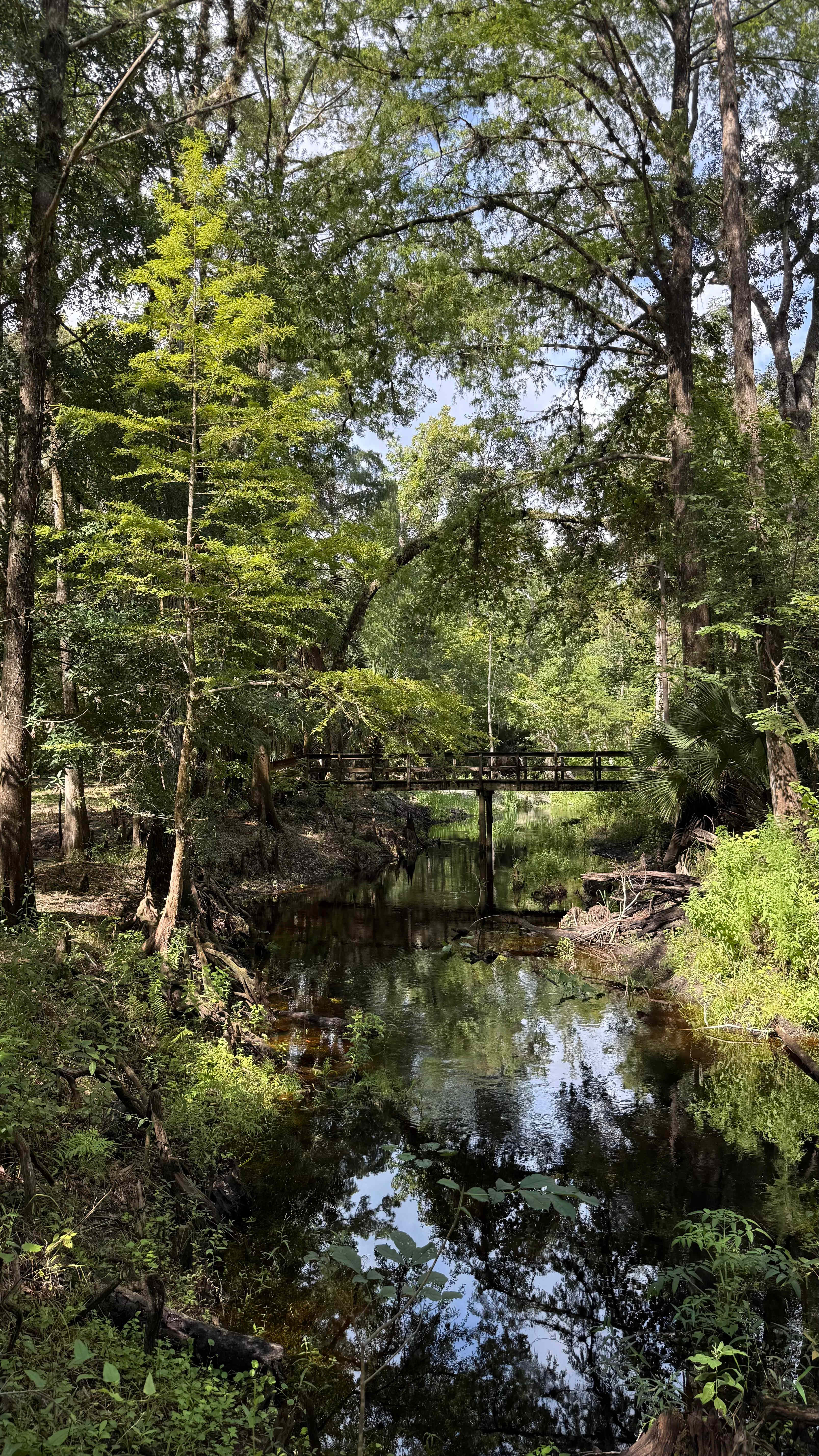 Camp Seminole Springs